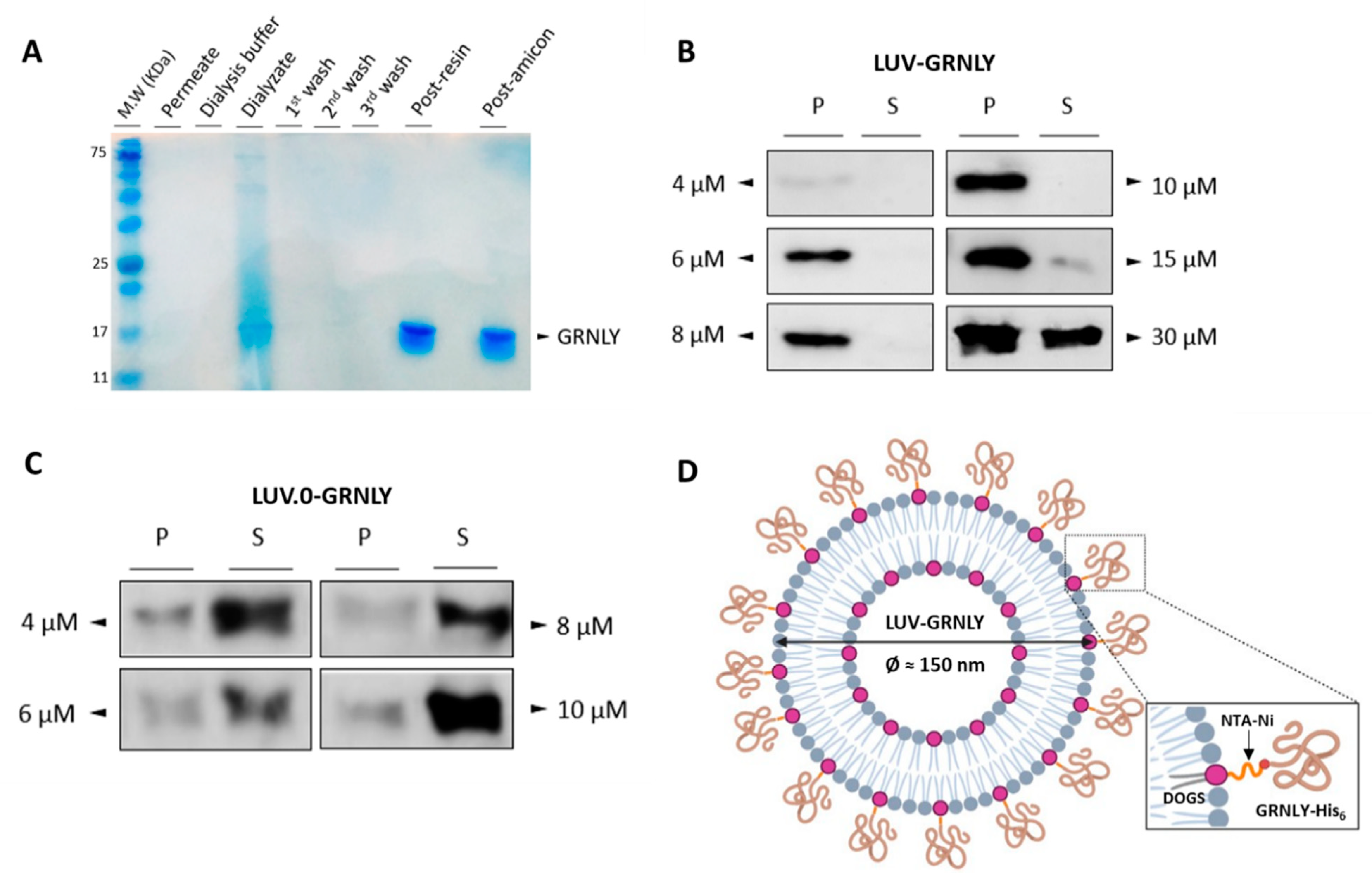 Ijms 23 08705 g001 550