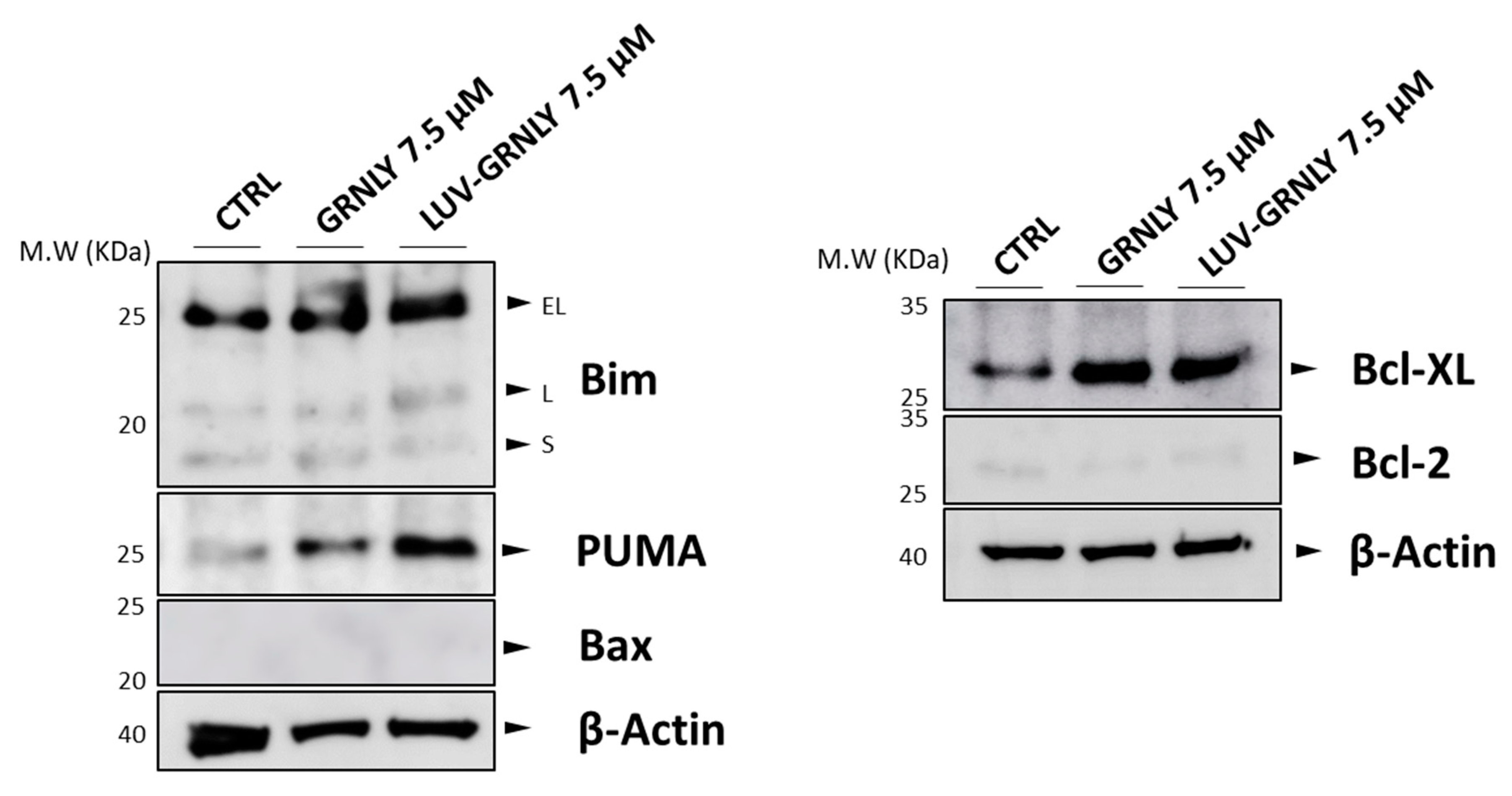 Ijms 23 08705 g004 550