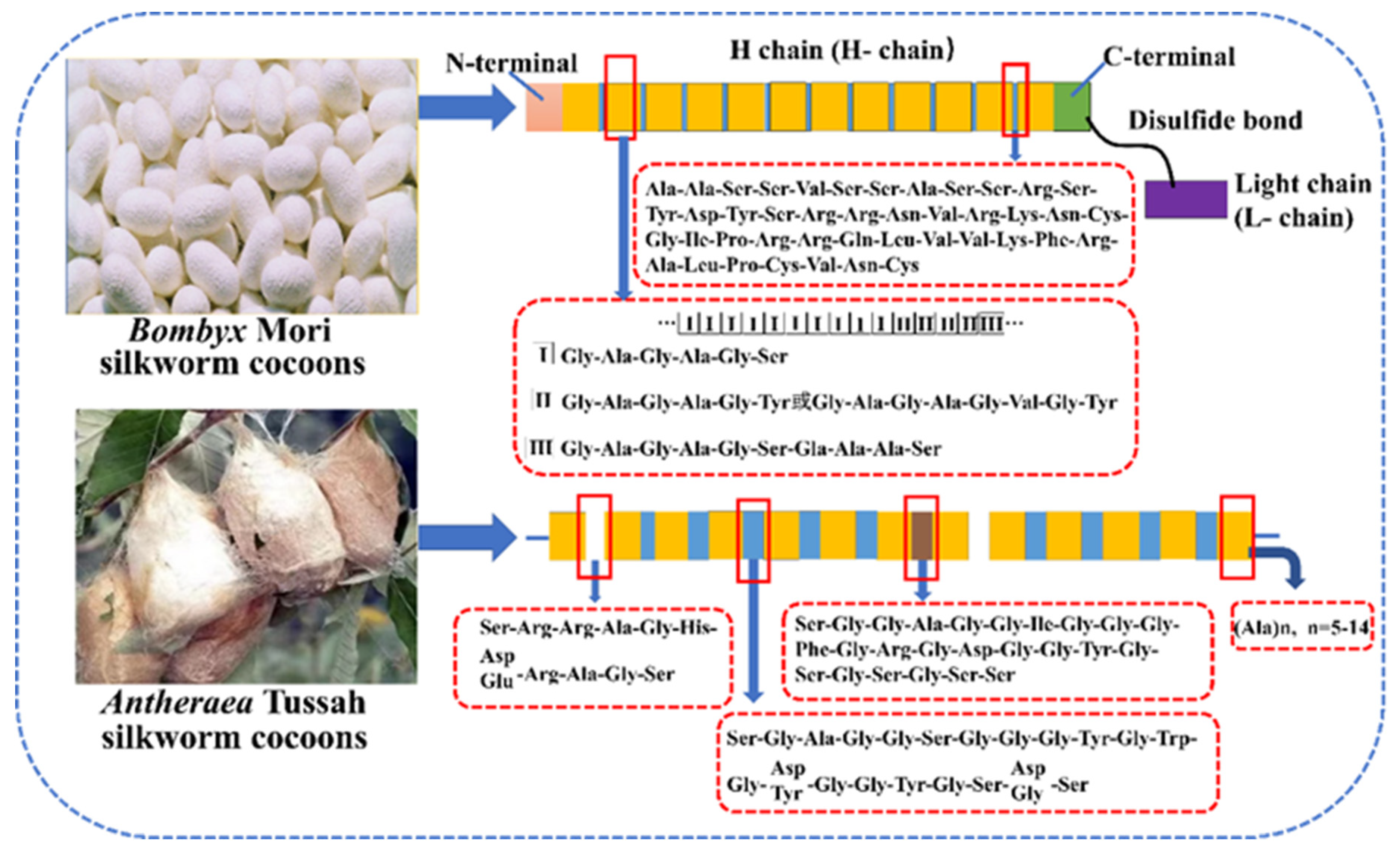 Ijms 23 08706 g003 550