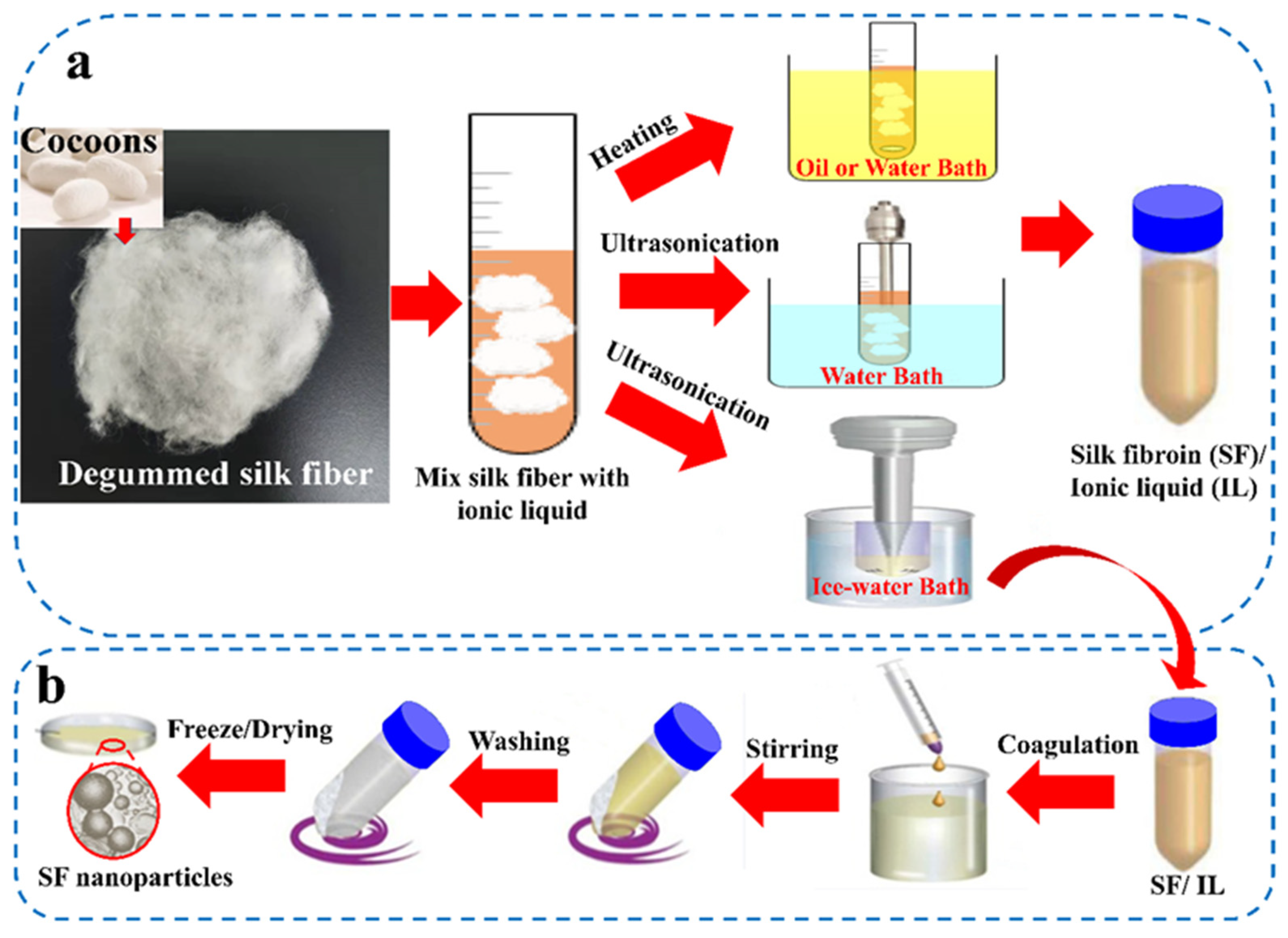 Ijms 23 08706 g006 550