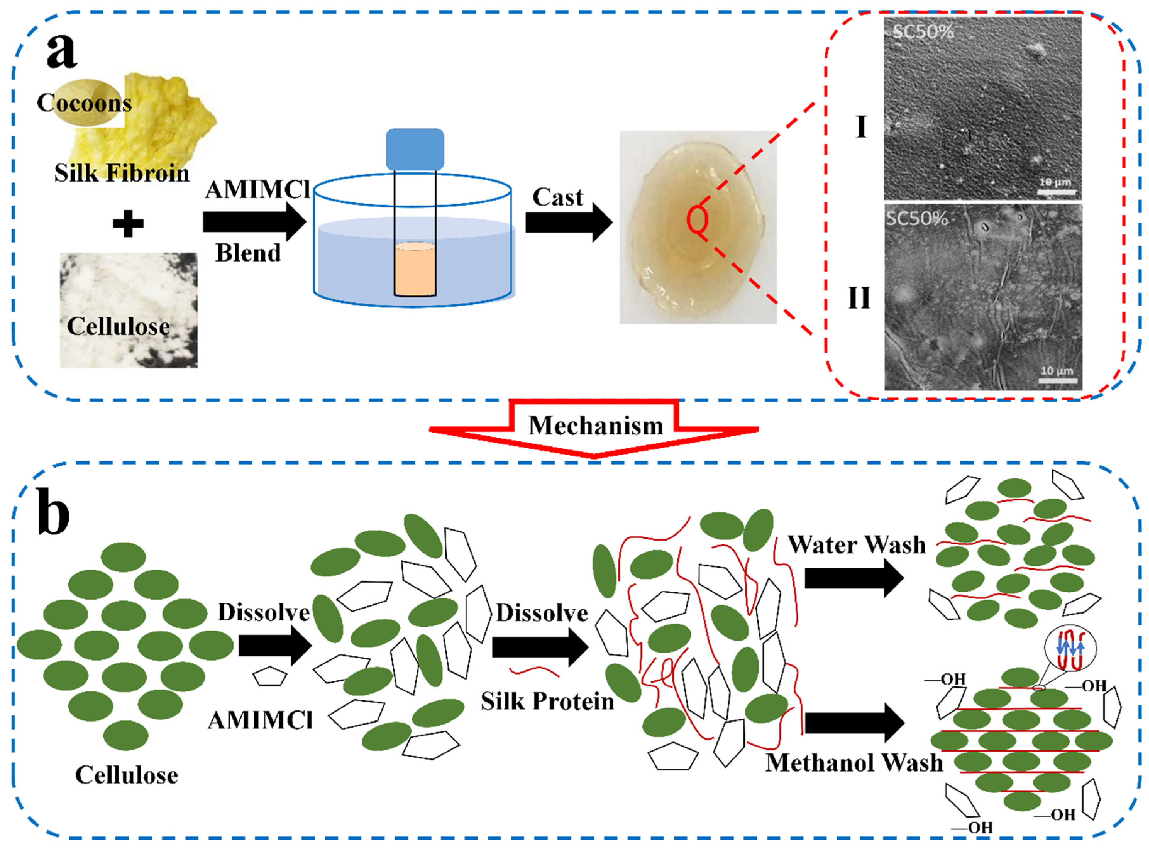 Ijms 23 08706 g007 550