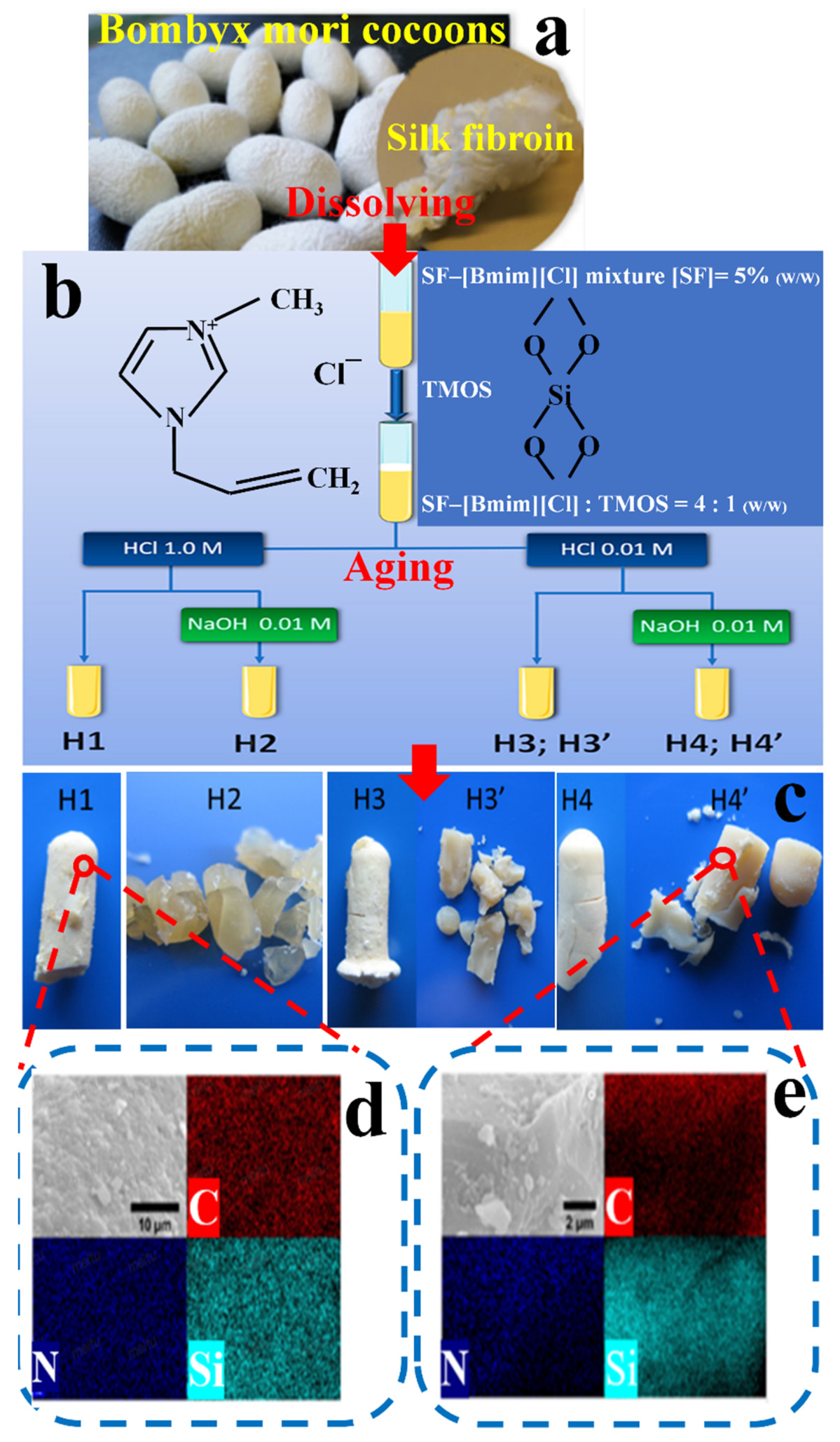 Ijms 23 08706 g008 550