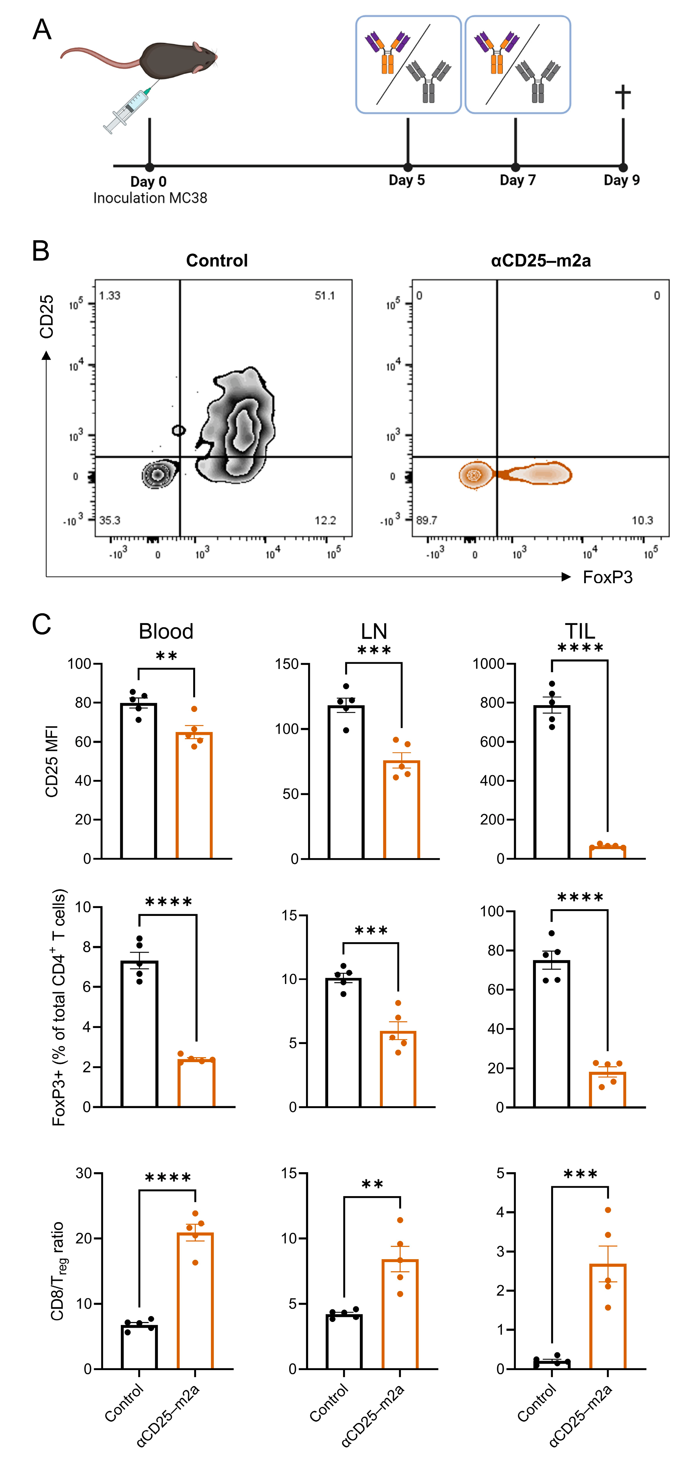 Ijms 23 08707 g002 550