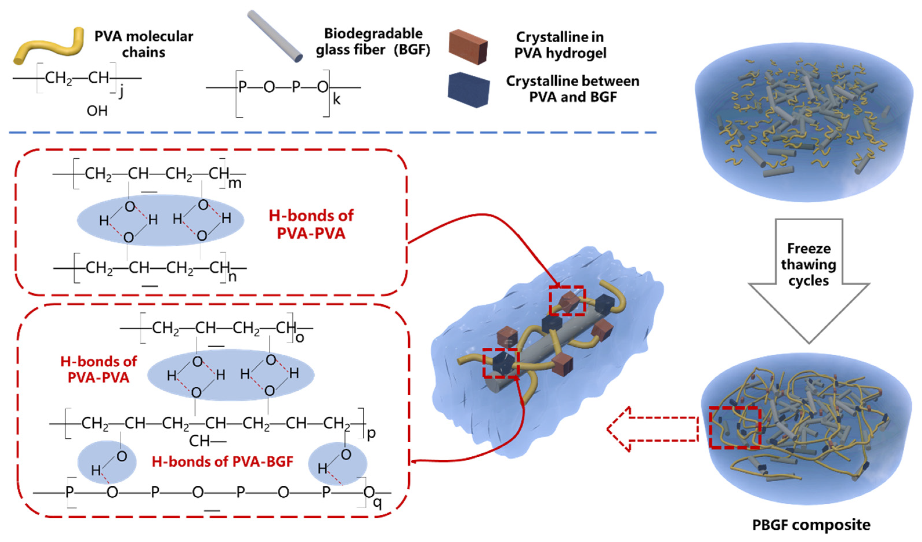 Ijms 23 08717 g002 550