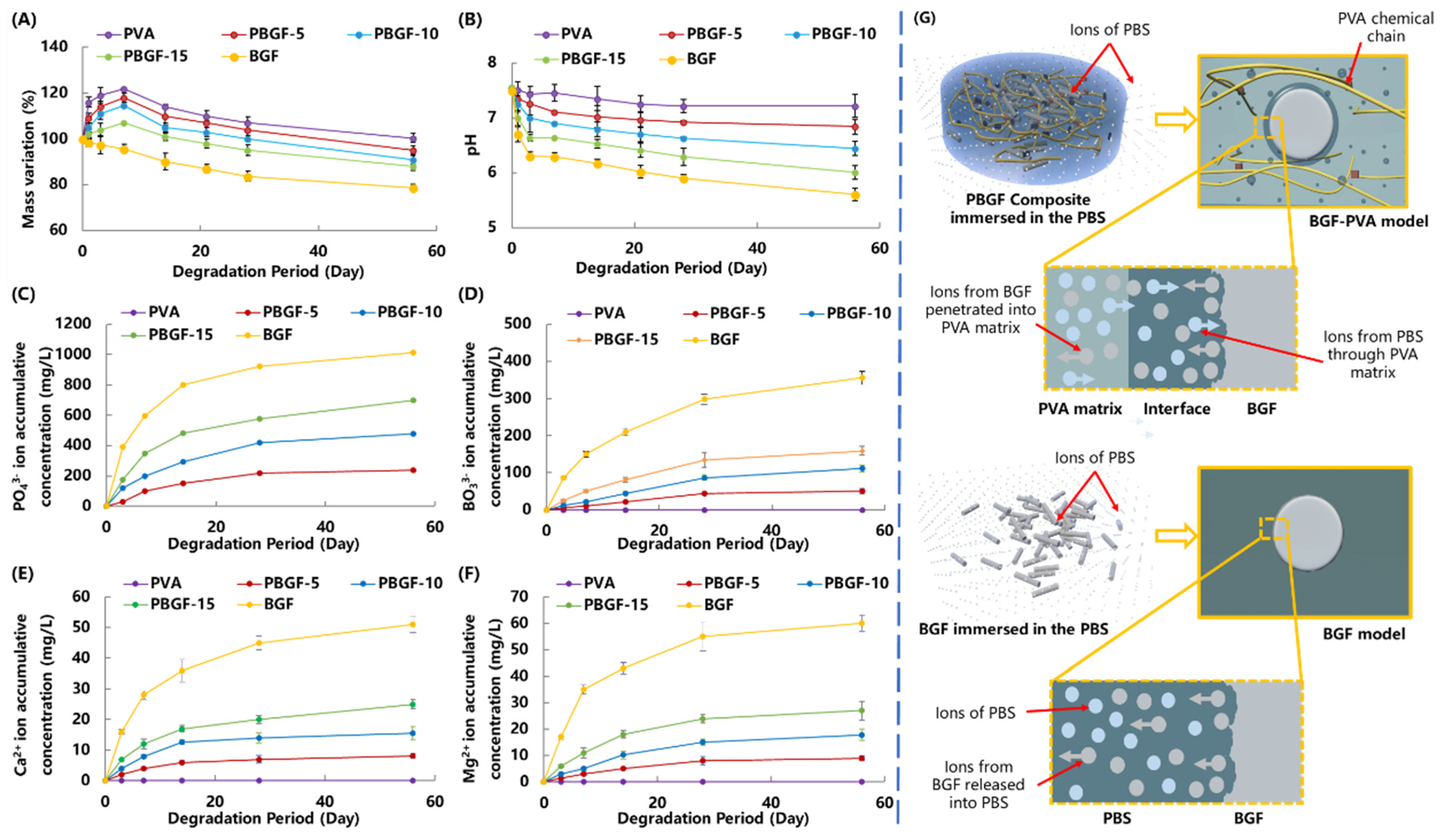 Ijms 23 08717 g005 550