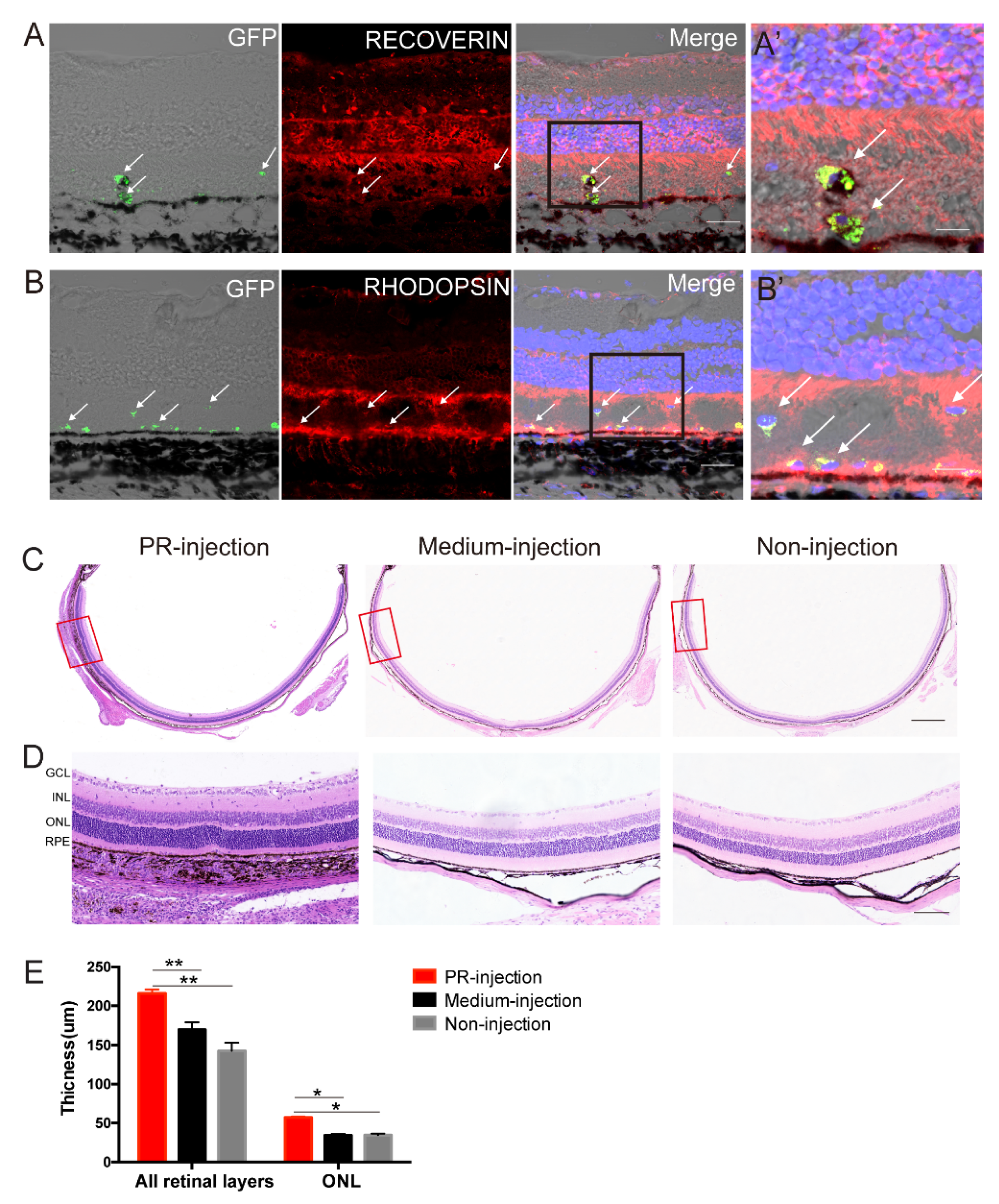 Ijms 23 08722 g005 550