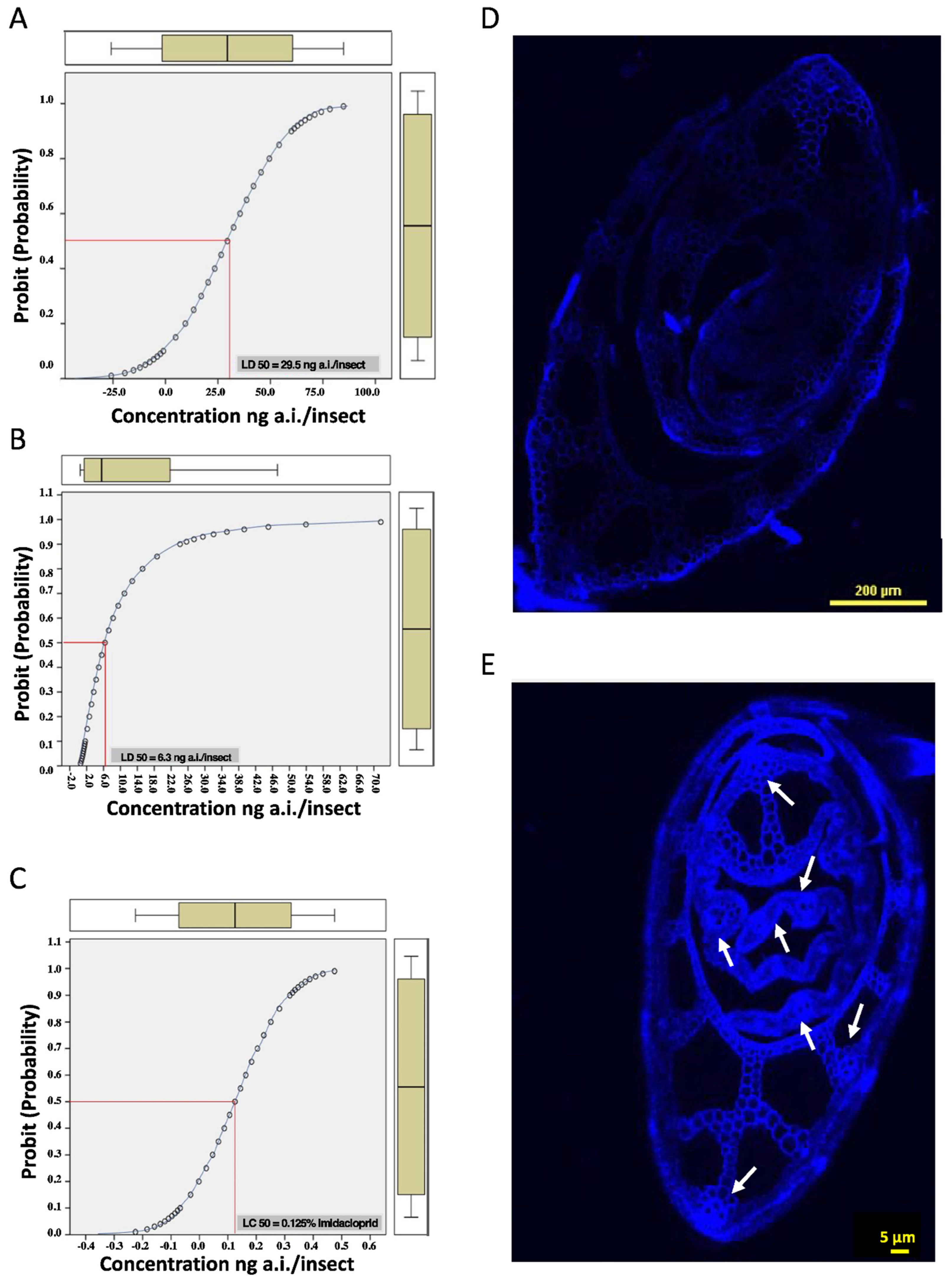 Ijms 23 08728 g001 550