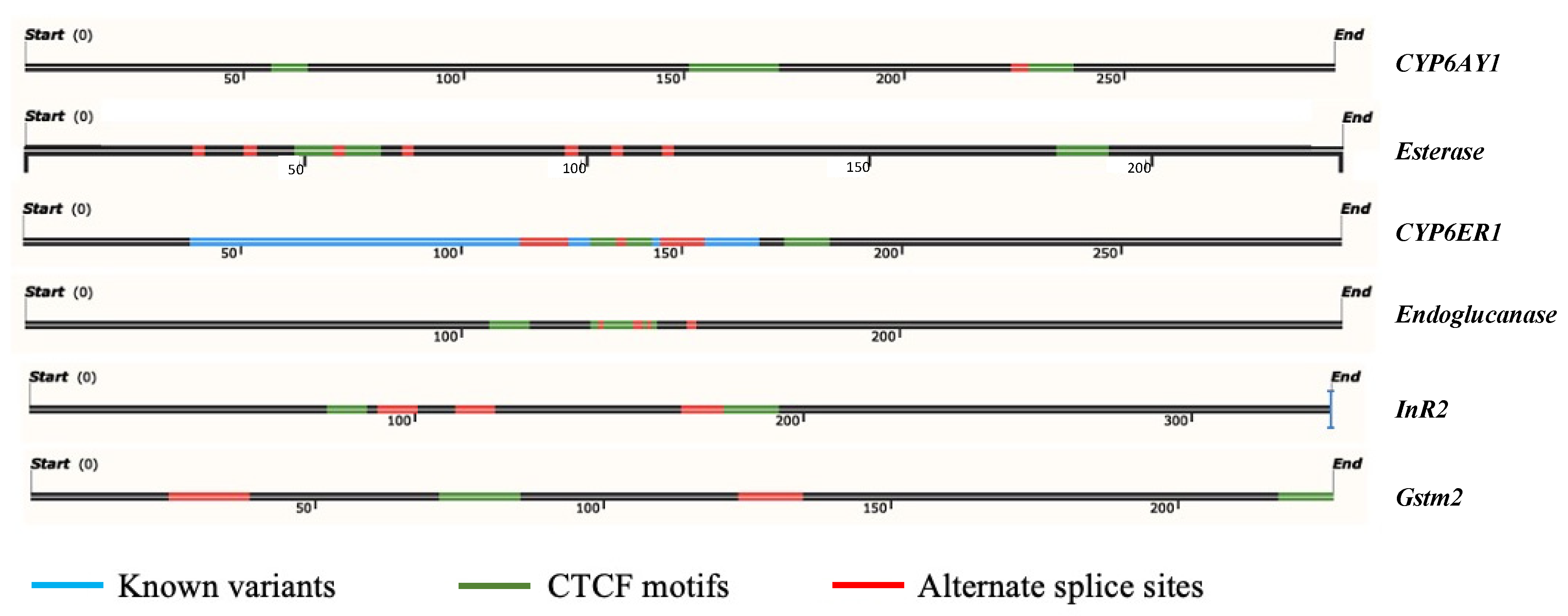 Ijms 23 08728 g003 550