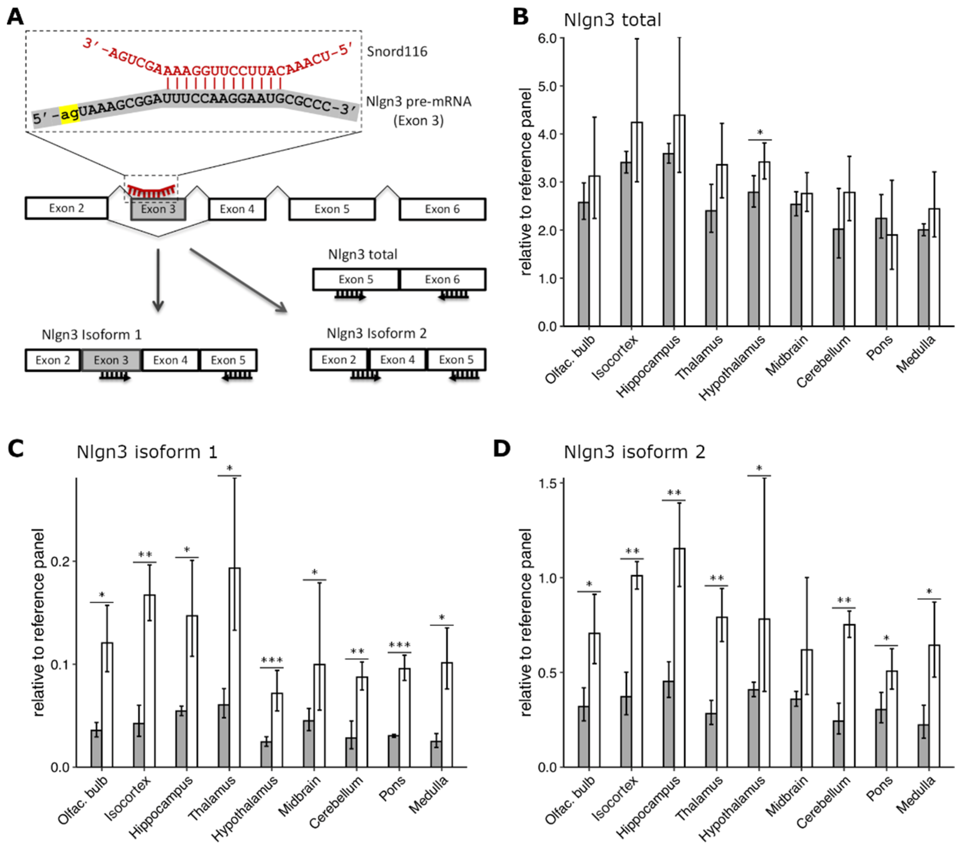 PDF) Hypothalamic loss of Snord116 recapitulates the hyperphagia