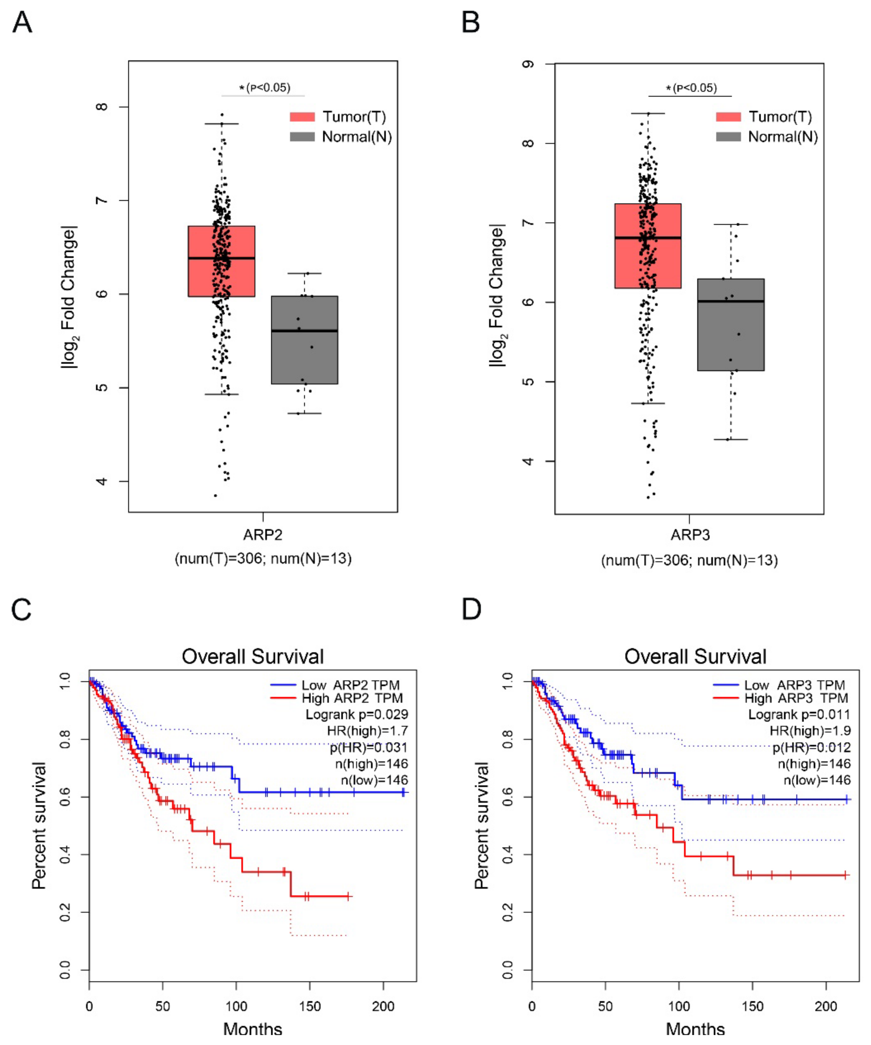 Ijms 23 08730 g005 550
