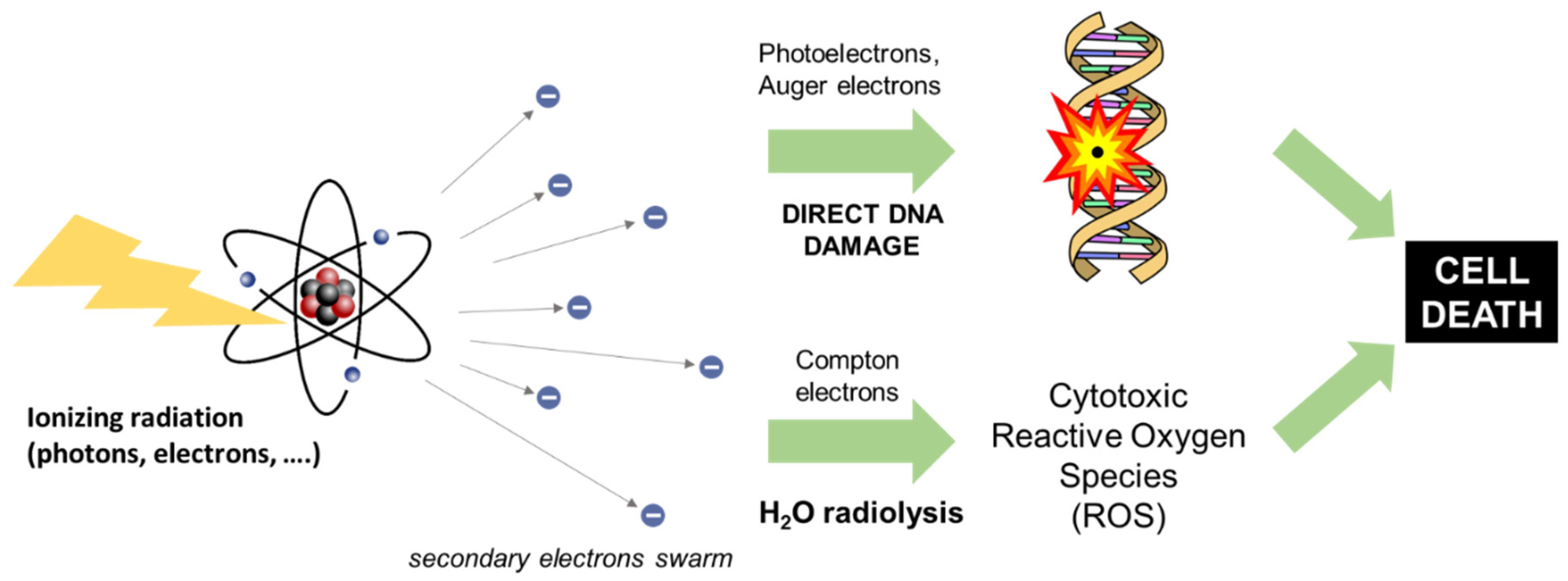Ijms 23 08736 g001 550