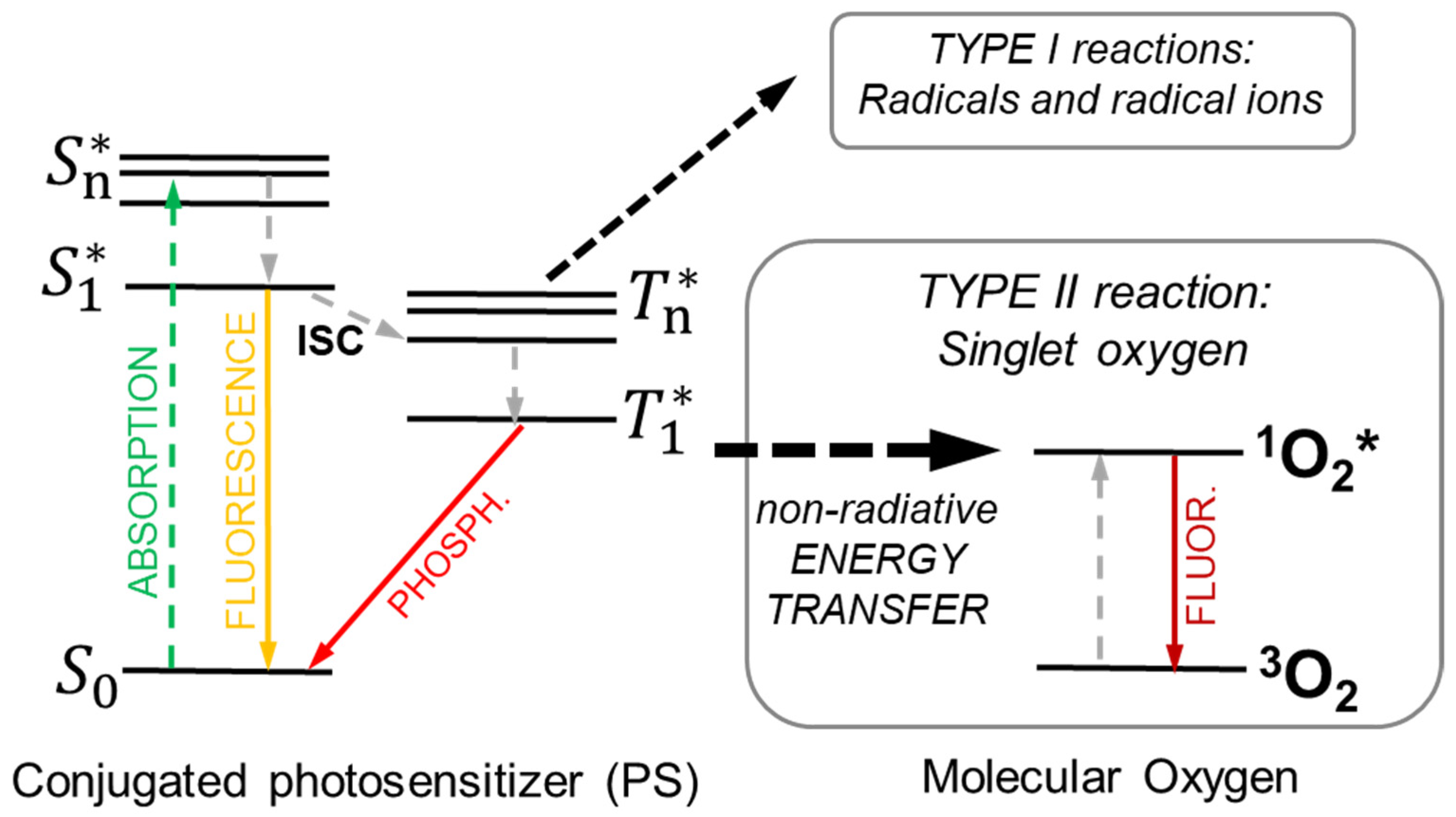 Ijms 23 08736 g002 550