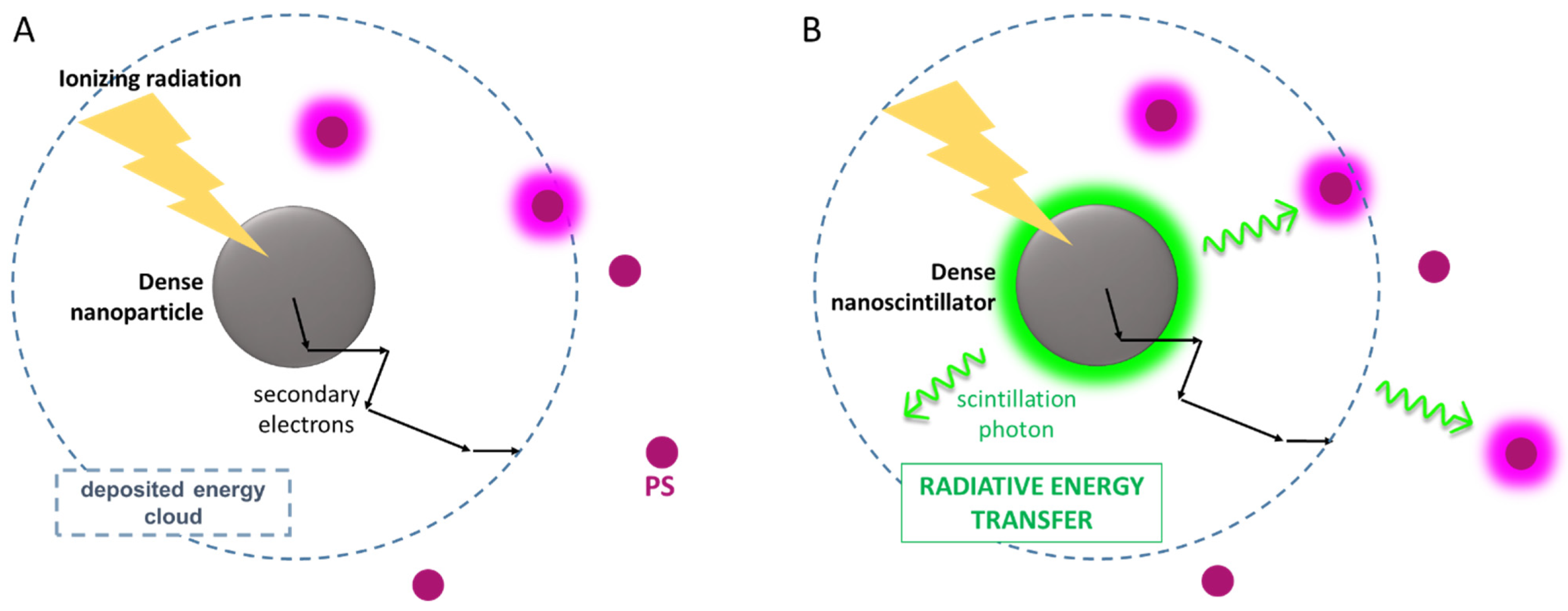 Ijms 23 08736 g003 550