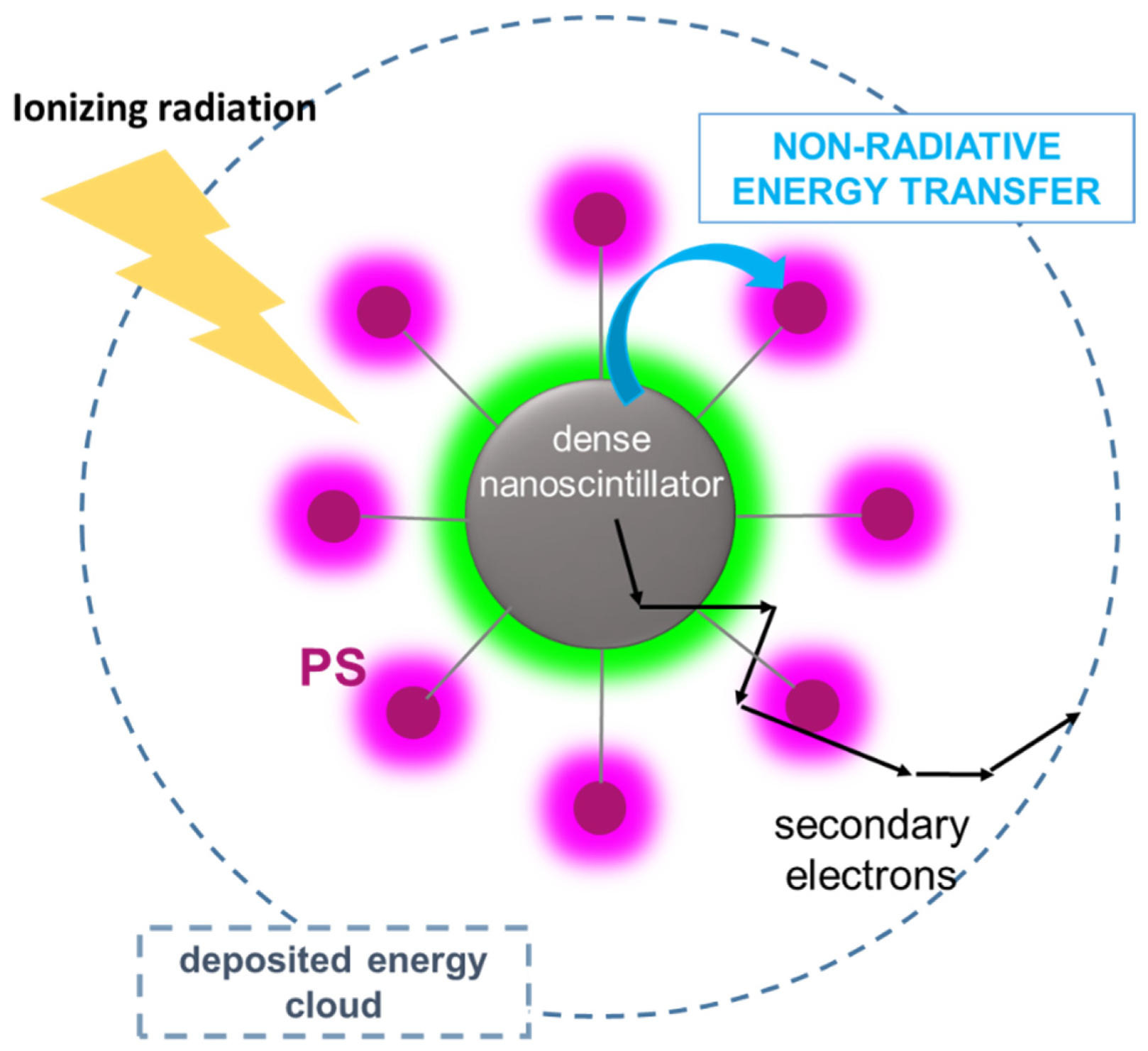 Ijms 23 08736 g004 550
