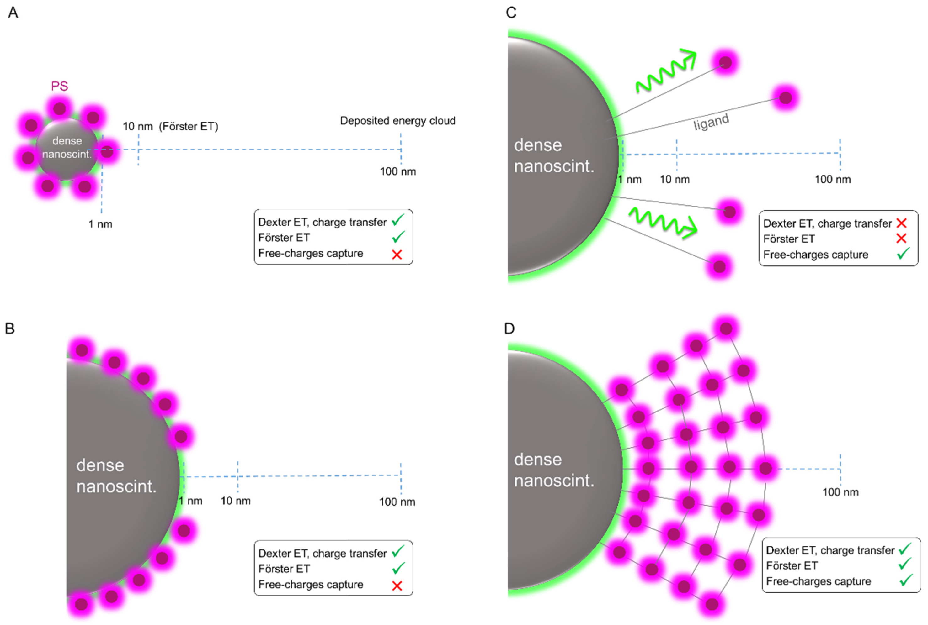 Ijms 23 08736 g005 550