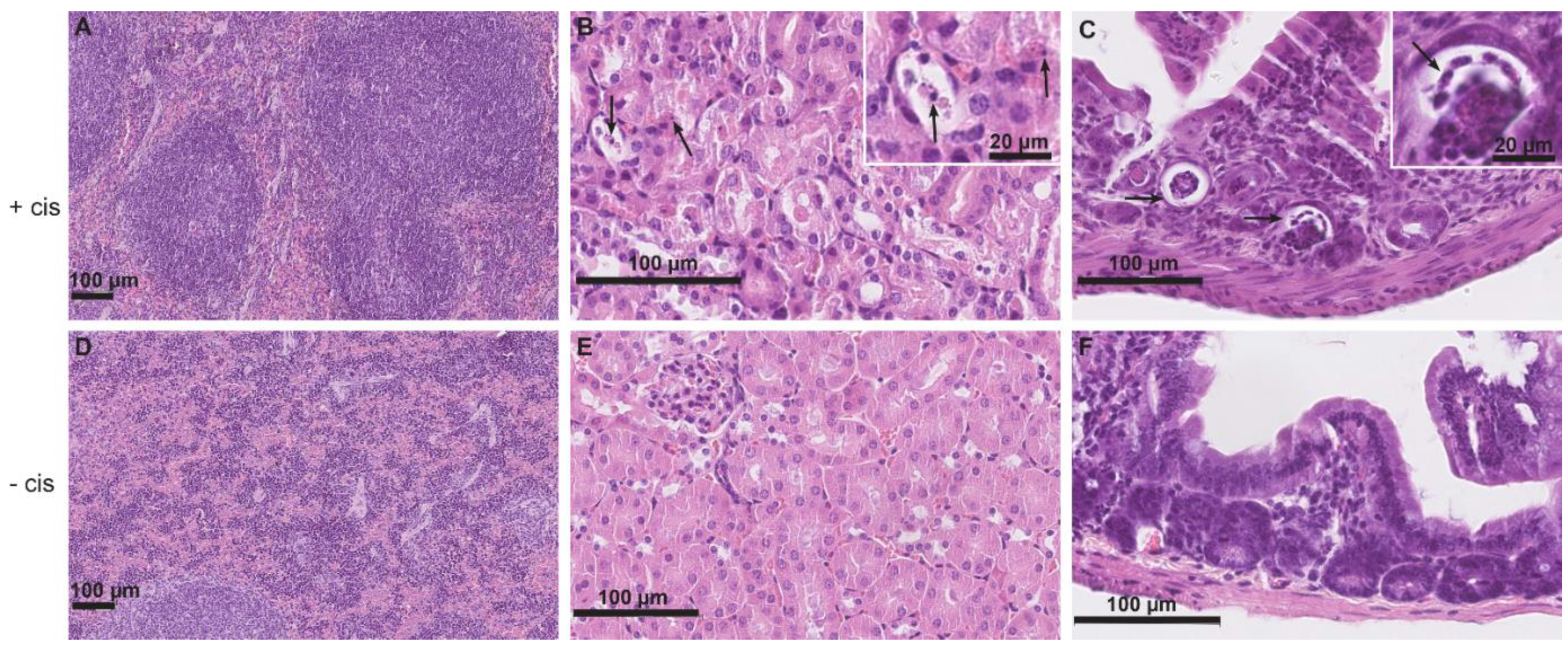 Ijms 23 08738 g001 550