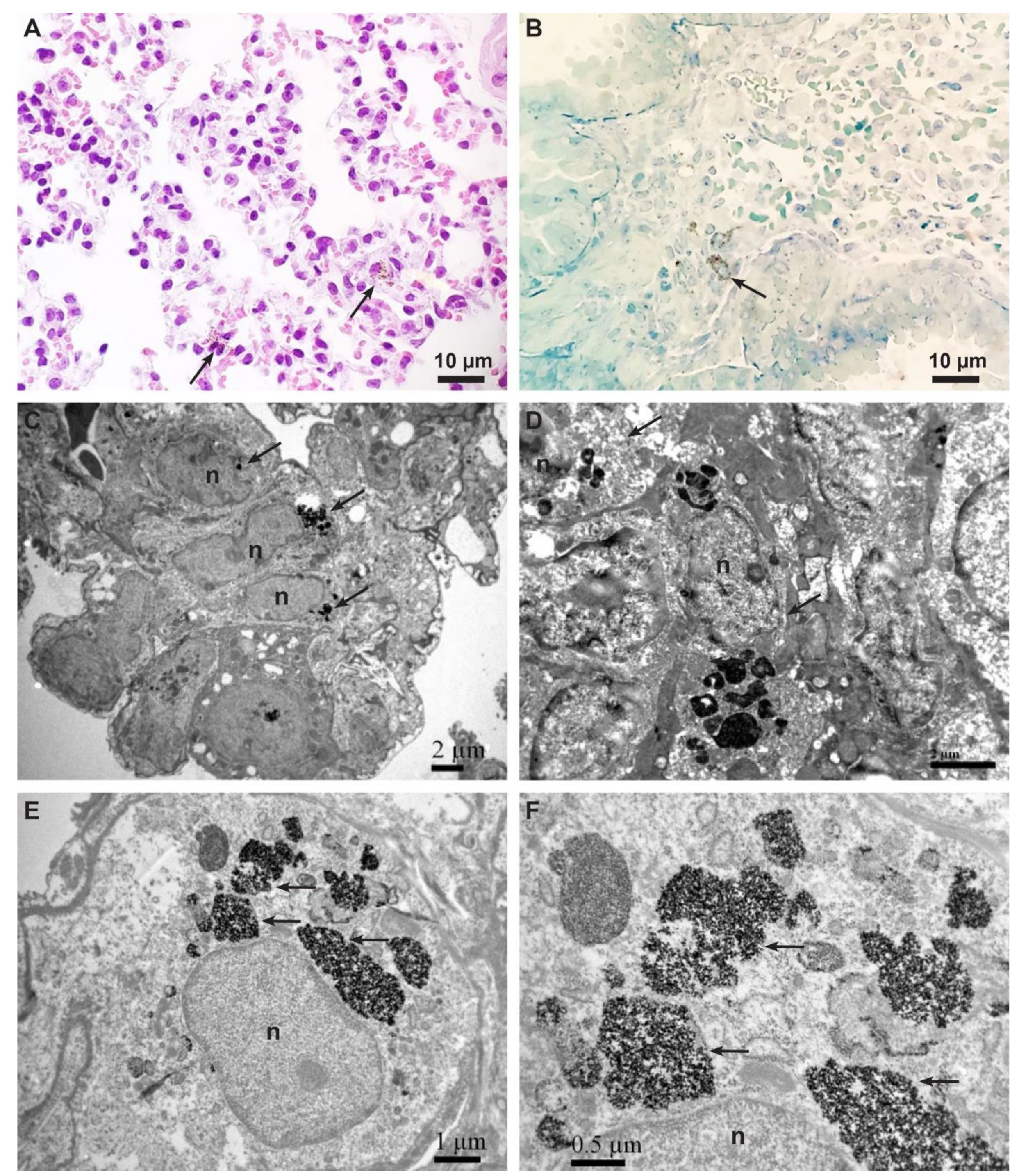 Ijms 23 08738 g002 550