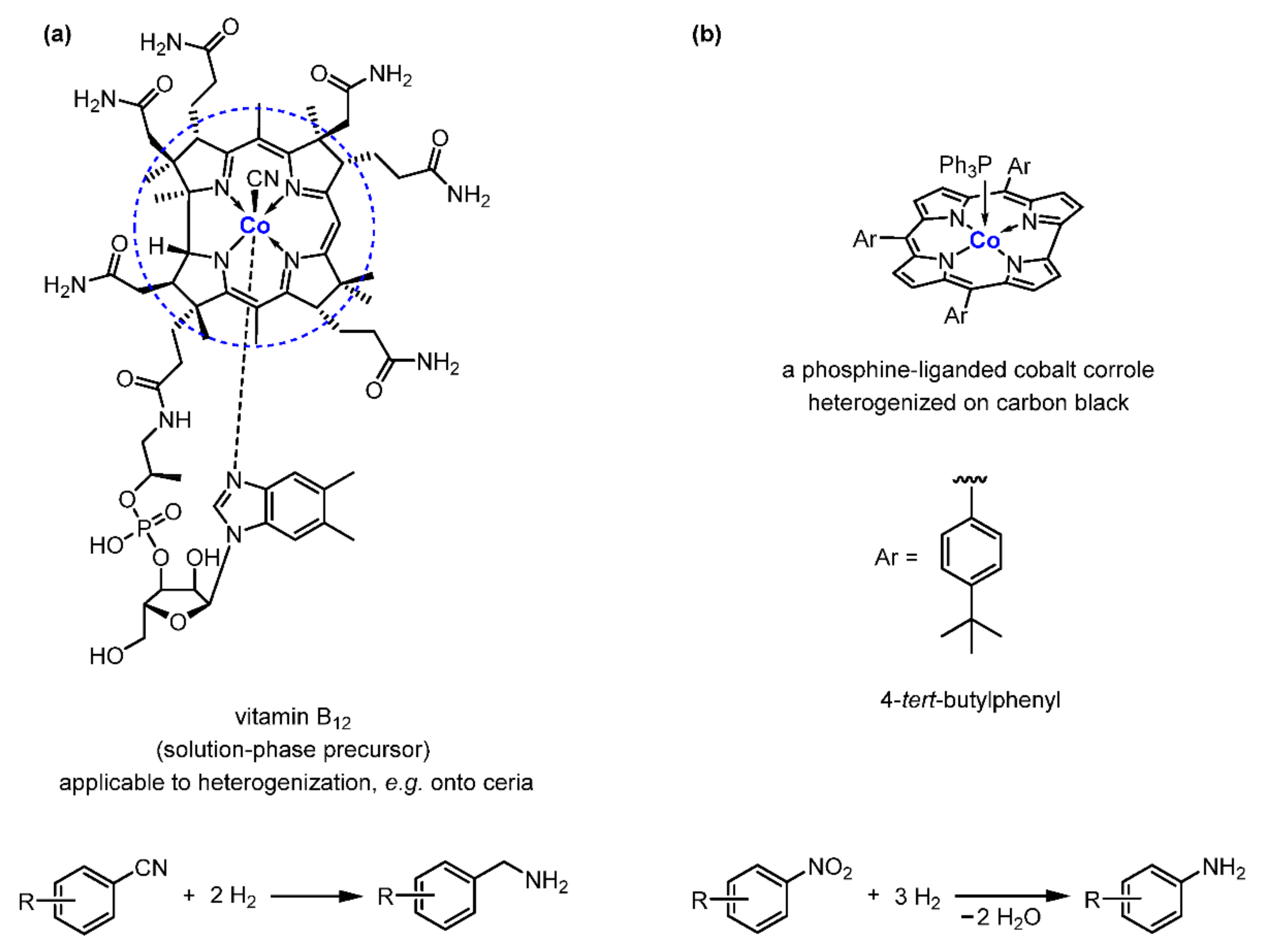 Ijms 23 08742 g001 550