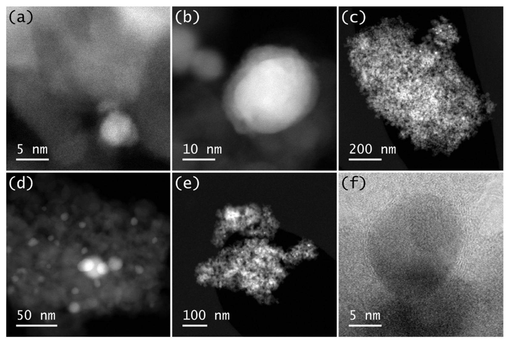 Ijms 23 08742 g005 550