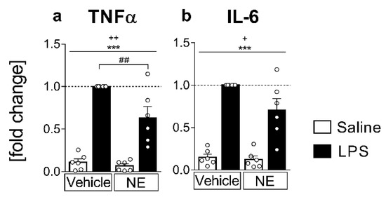Norepinephrine Inhibits Lipopolysaccharide-Stimulated TNF-α Norepinephrine Inhibits Lipopolysaccharide-Stimulated TNF-α