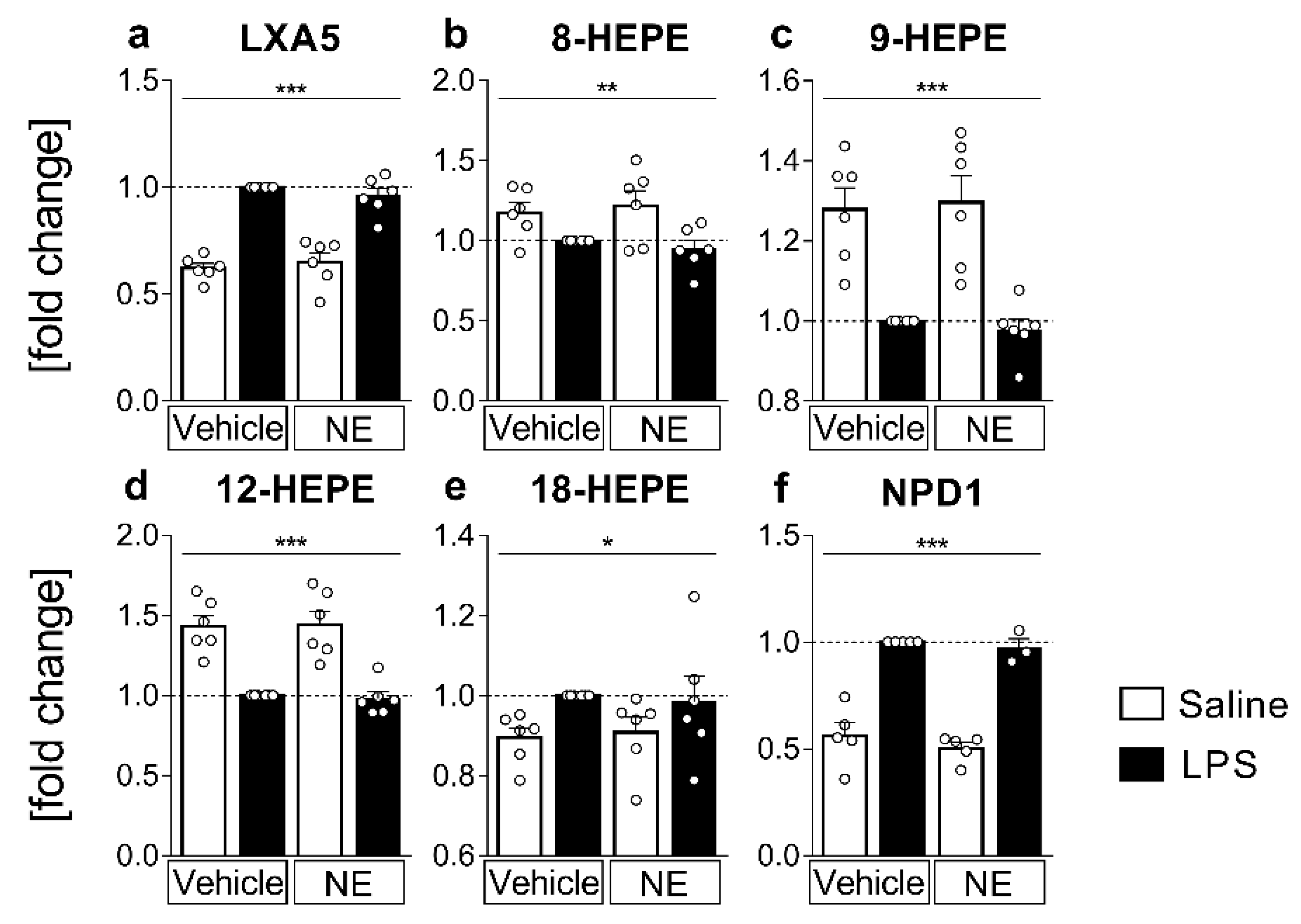 Role of Virus-Induced Host Cell Epigenetic Changes in Cancer