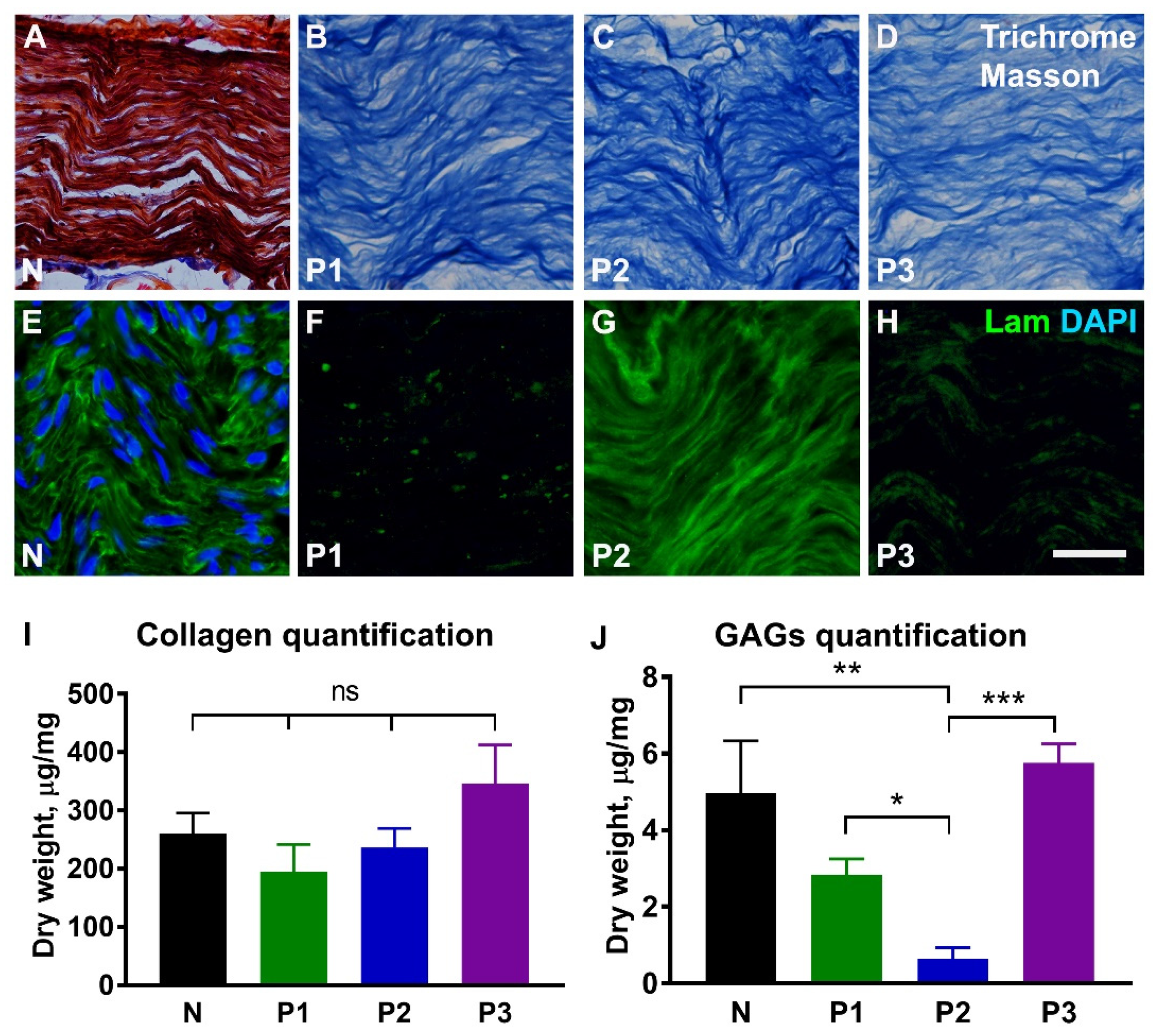 Ijms 23 08746 g003 550