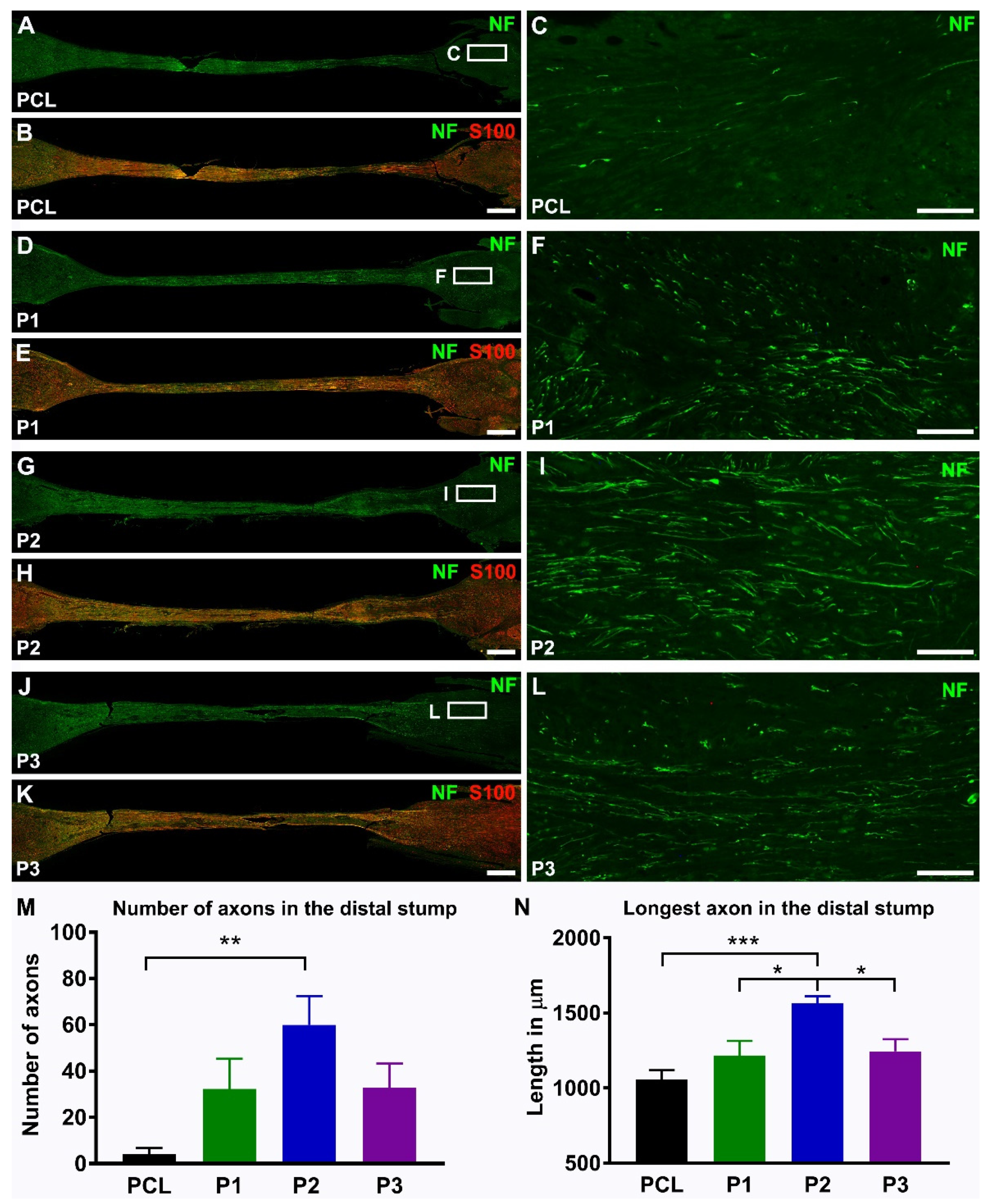 Ijms 23 08746 g007 550