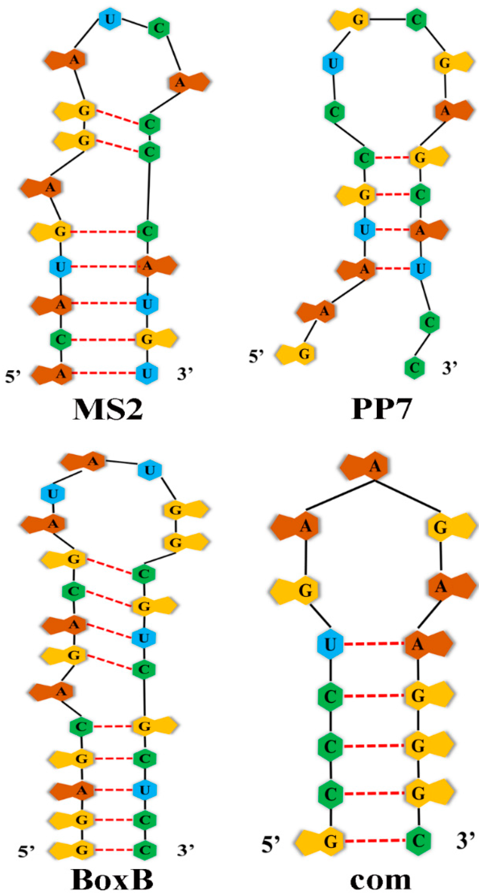 Ijms 23 08750 g001 Ijms 23 08750 g001