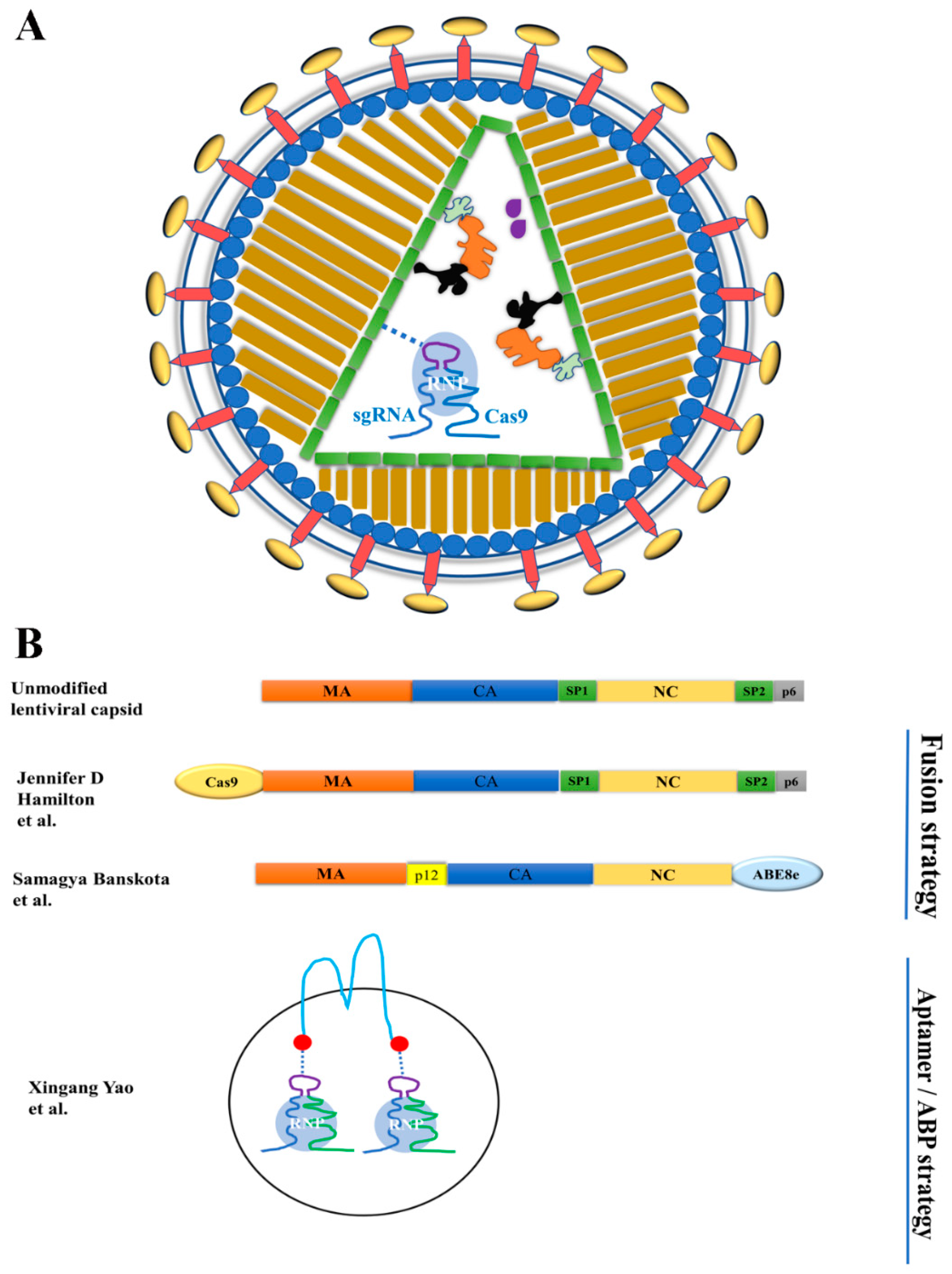Ijms 23 08750 g002 Ijms 23 08750 g002