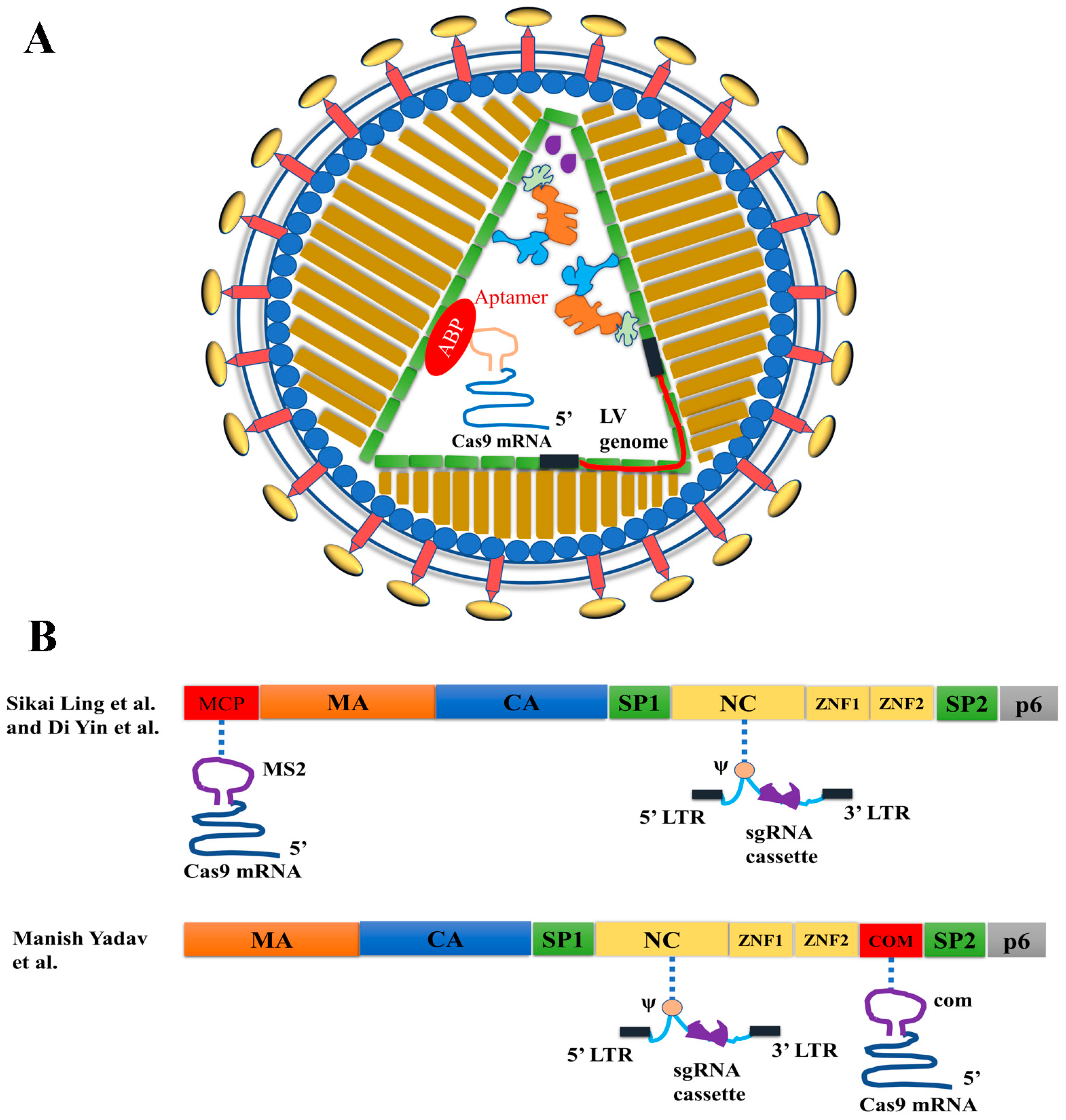 Ijms 23 08750 g004 Ijms 23 08750 g004