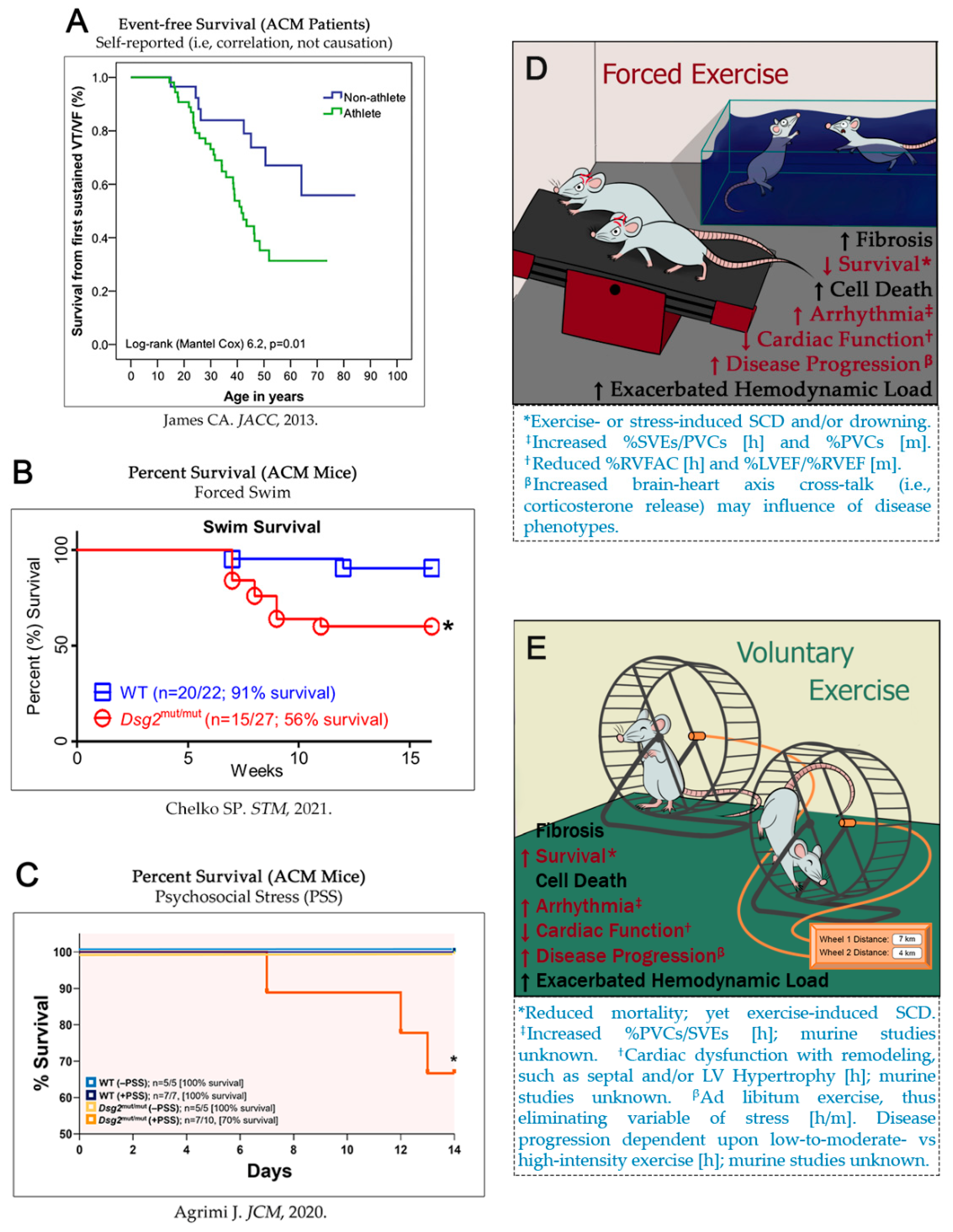 Ijms 23 08753 g001 Ijms 23 08753 g001