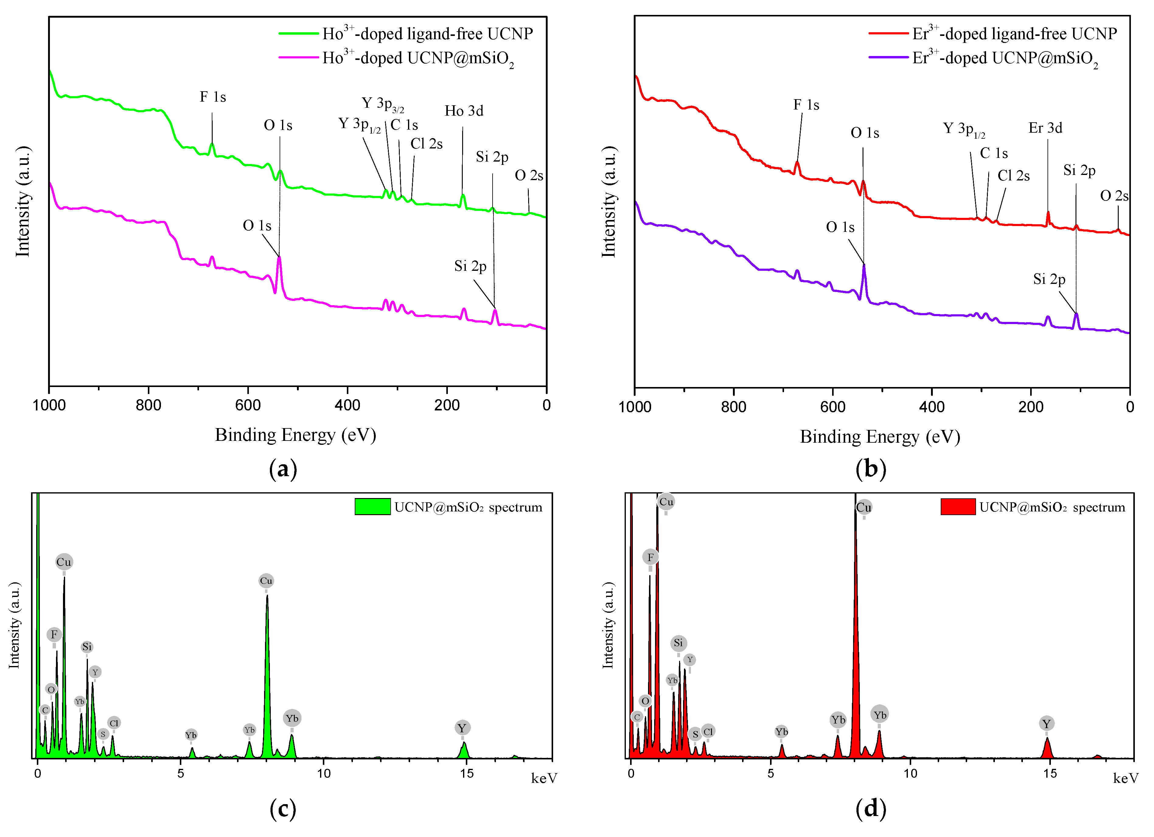 Ijms 23 08757 g004 550