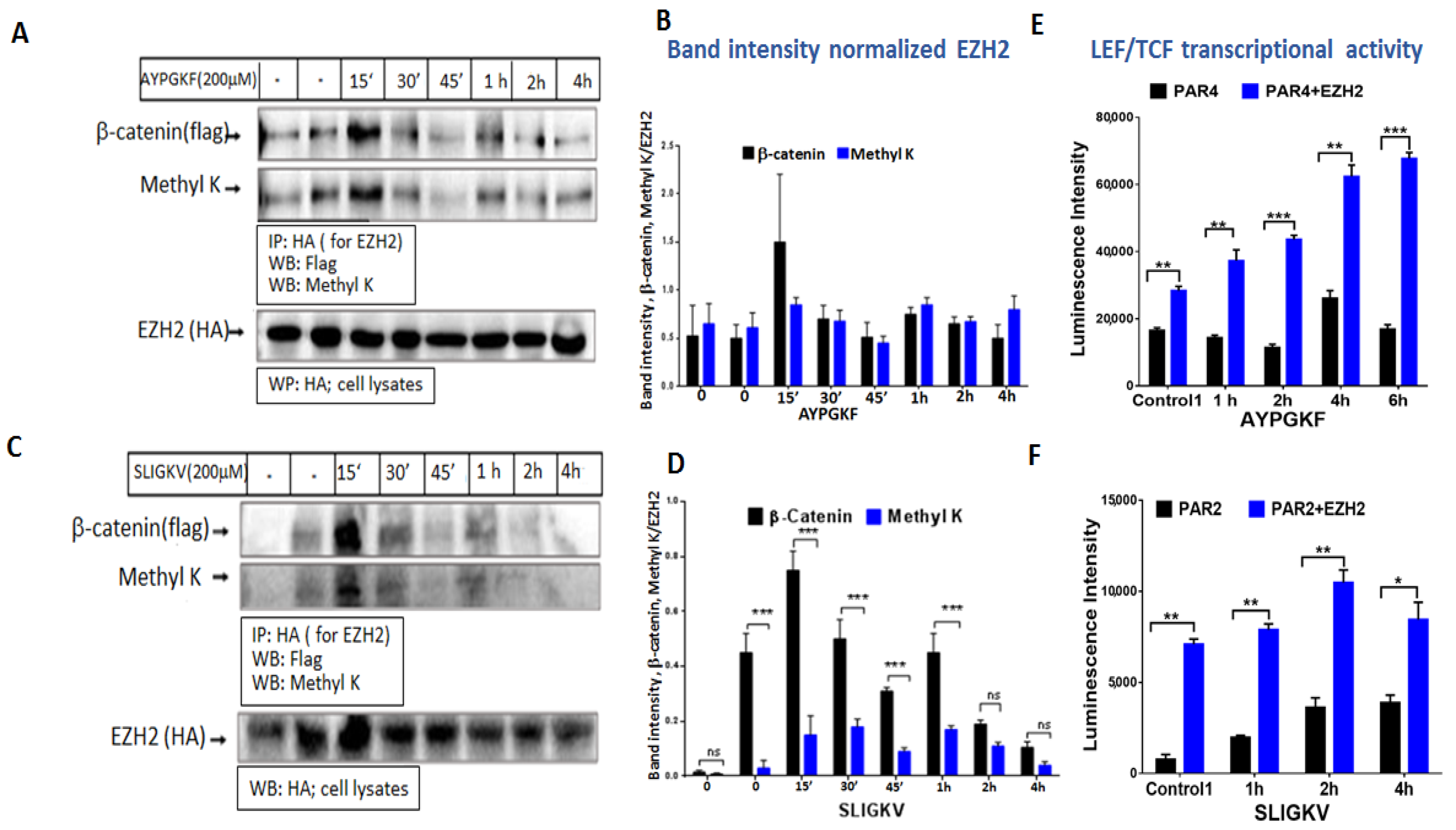 Ijms 23 08758 g006 550