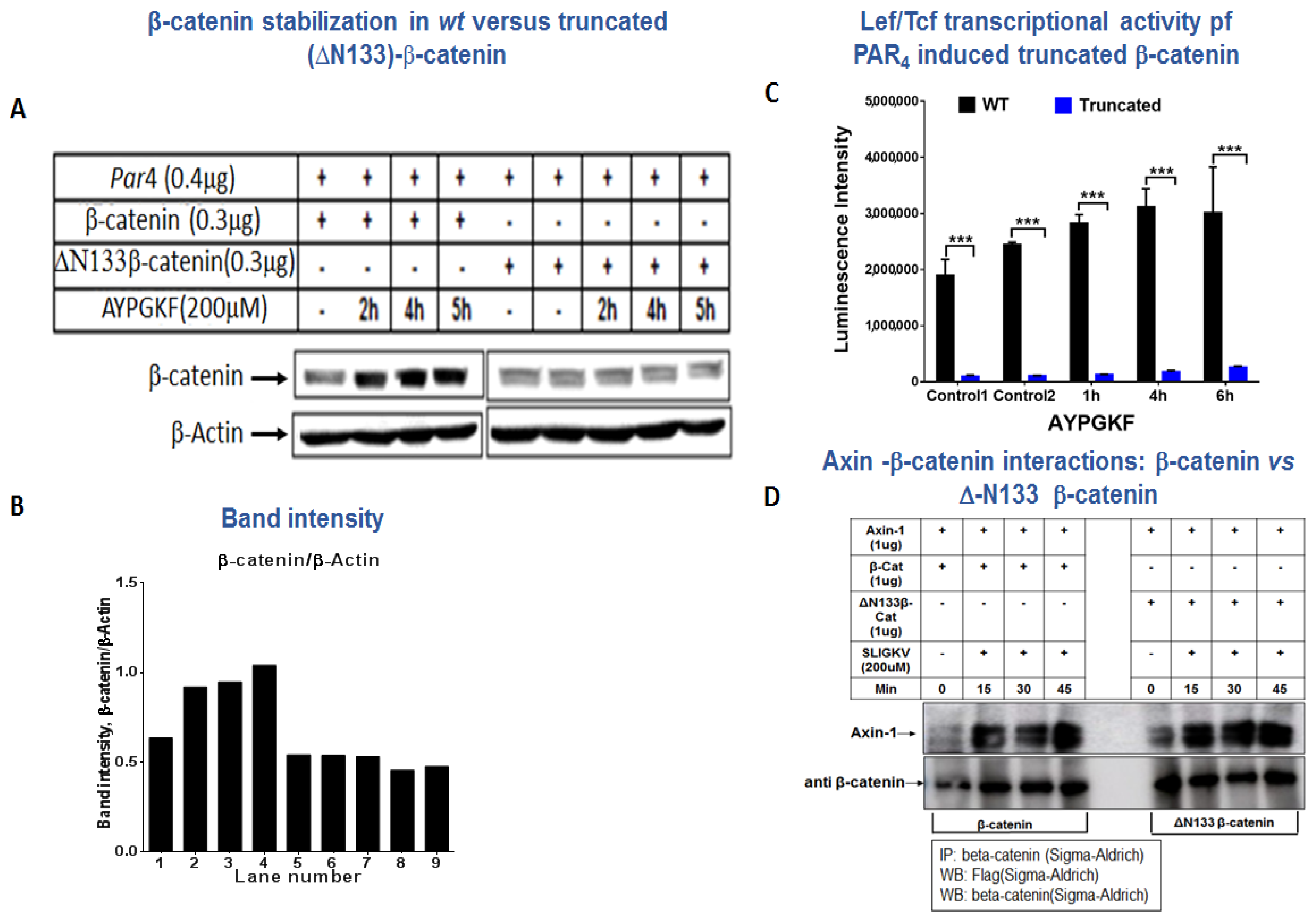 Ijms 23 08758 g007 550