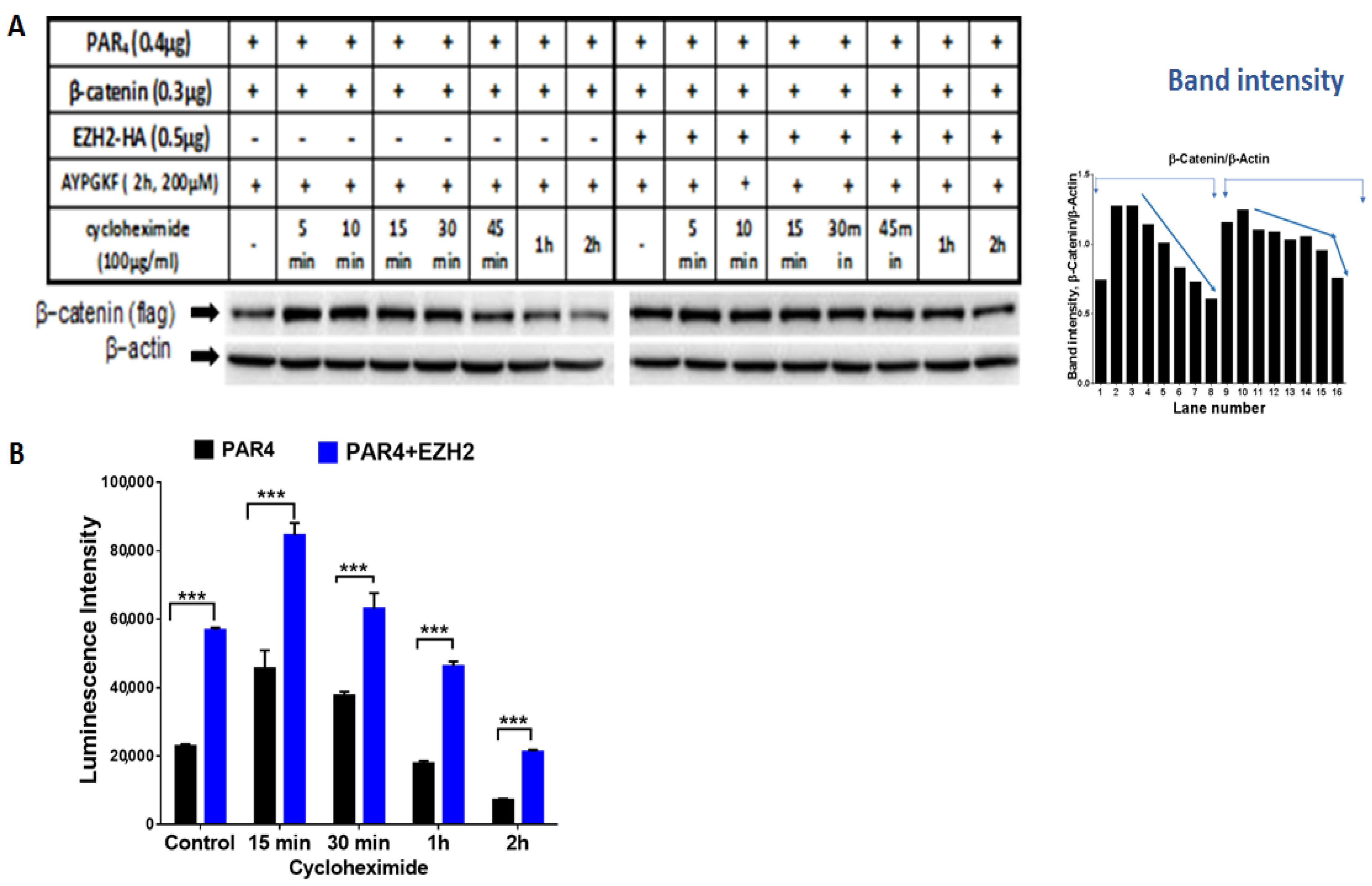 Ijms 23 08758 g008 550