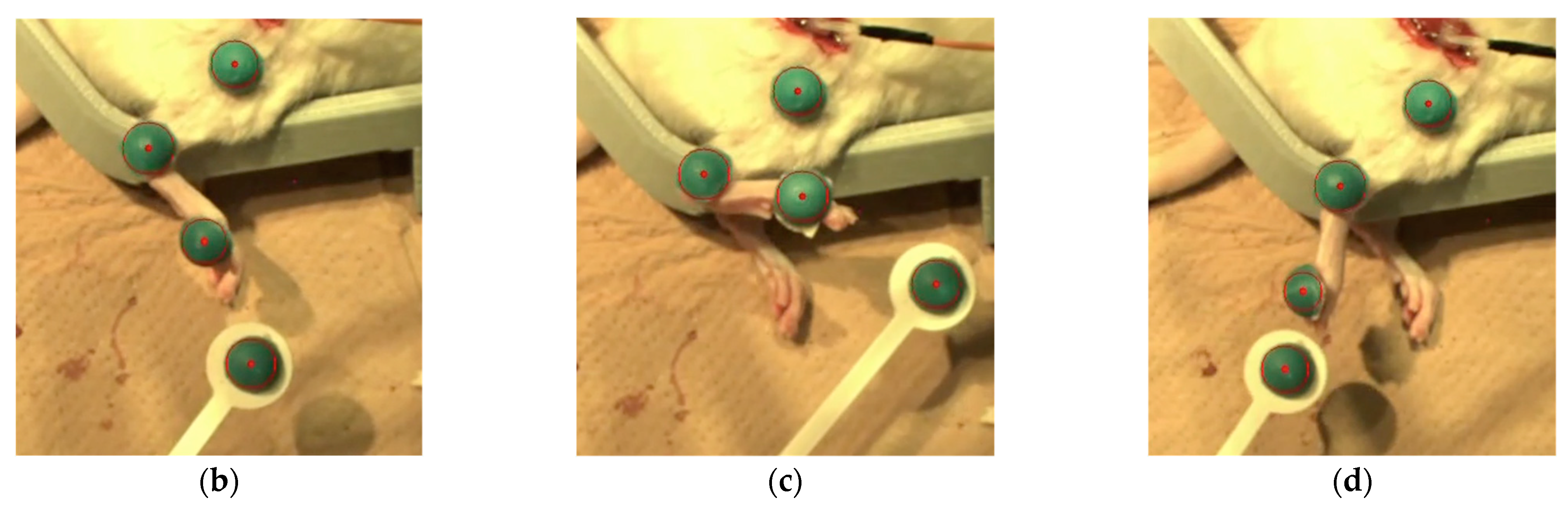 Ijms 23 08760 g010b 550