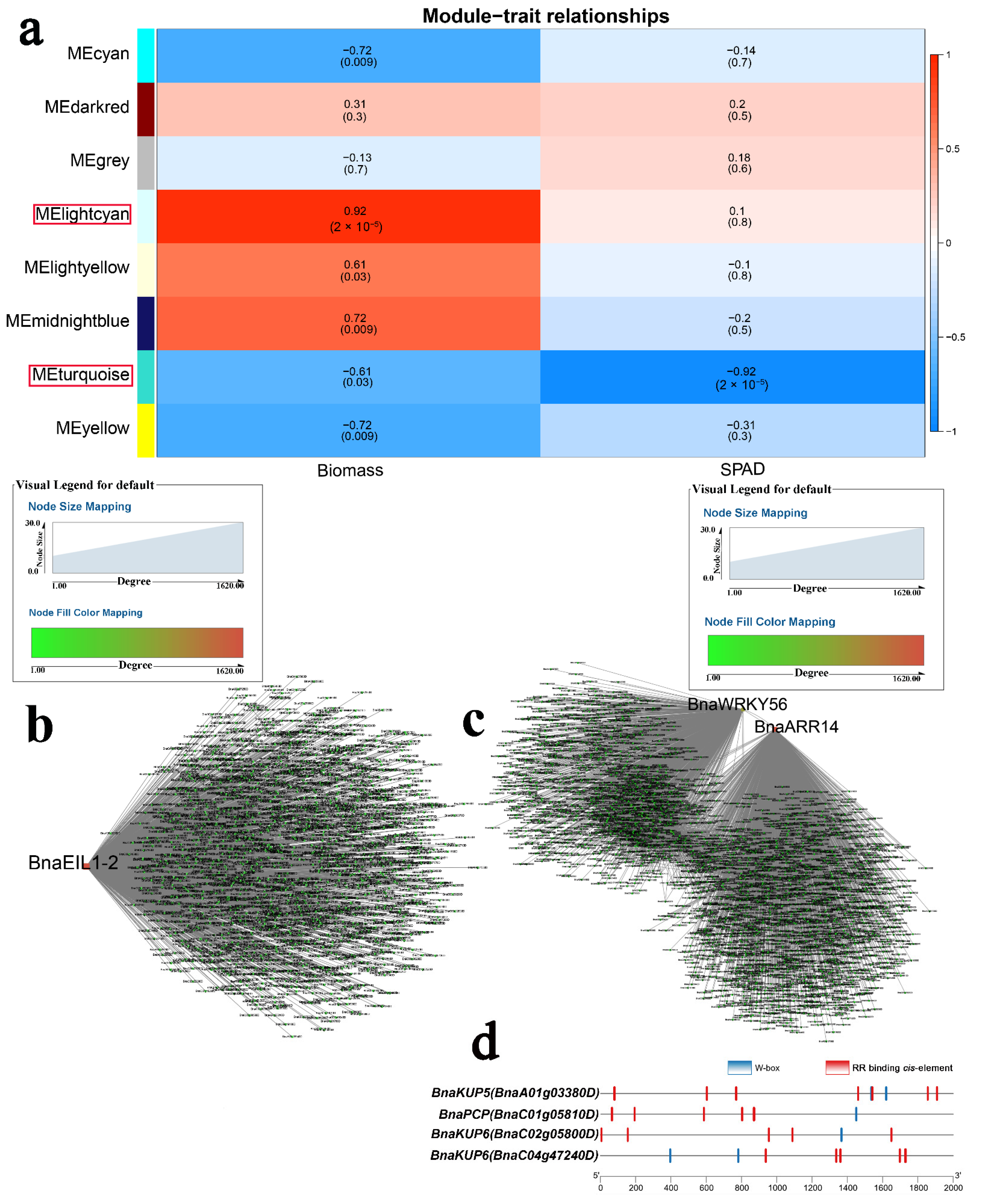 Ijms 23 08762 g006 550