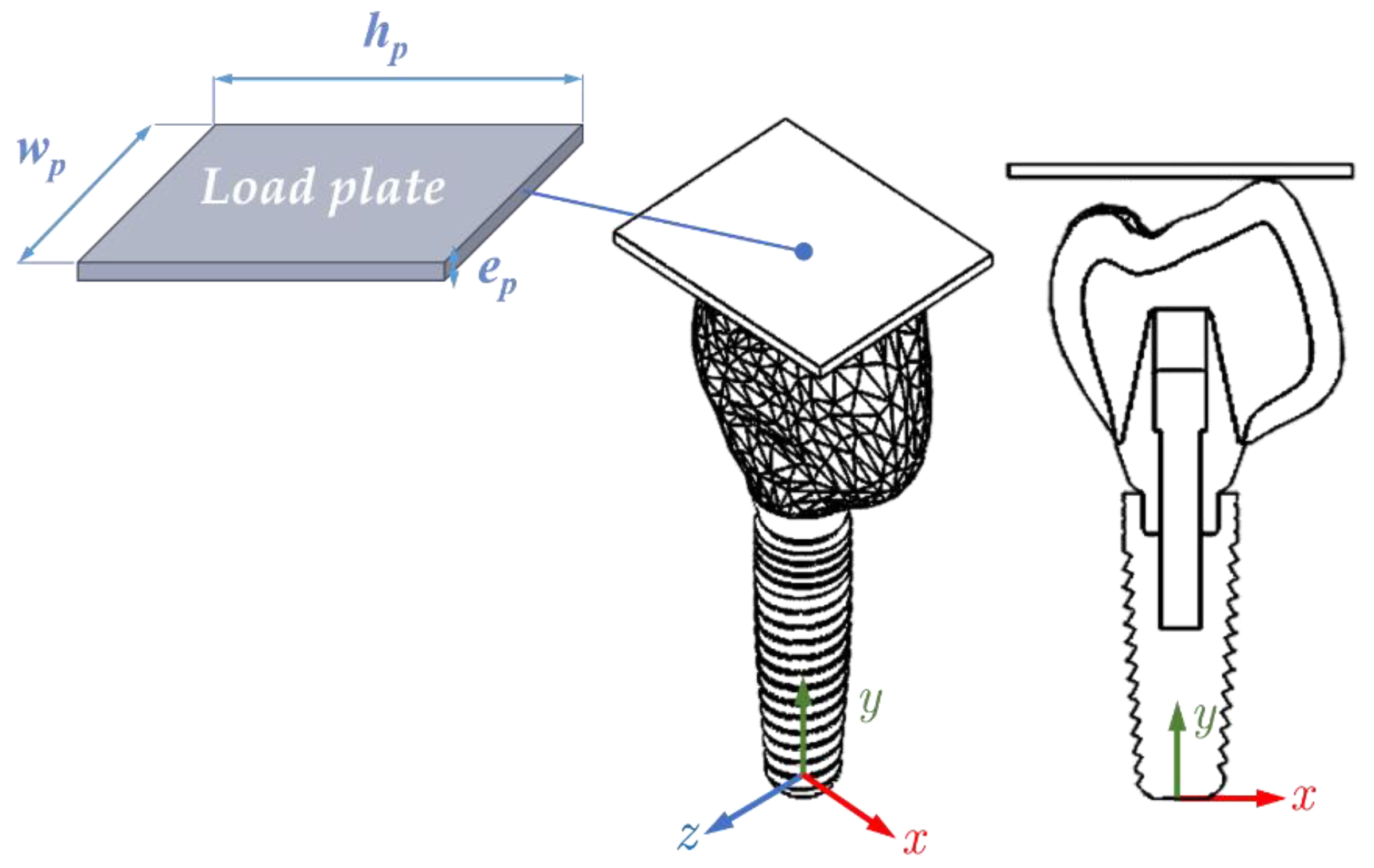 Ijms 23 08769 g015 Ijms 23 08769 g015