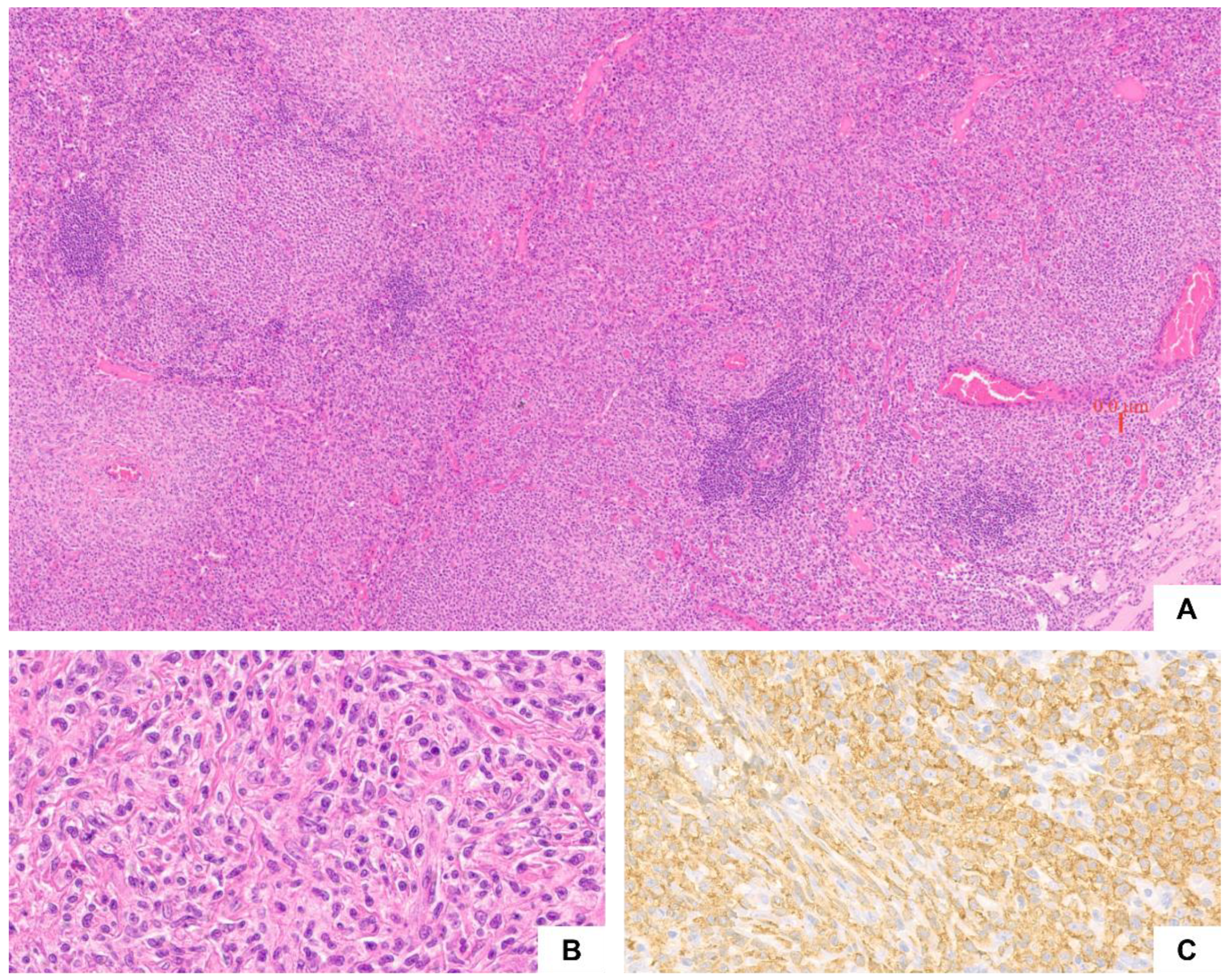 Ijms 23 08772 g001 550