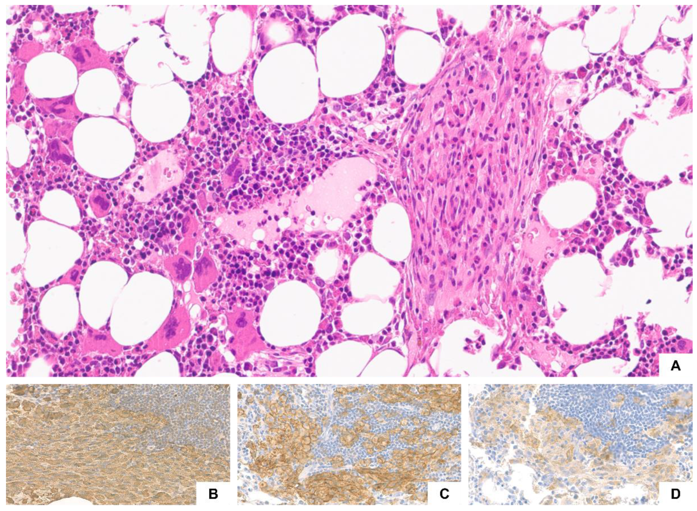 Ijms 23 08772 g002 550