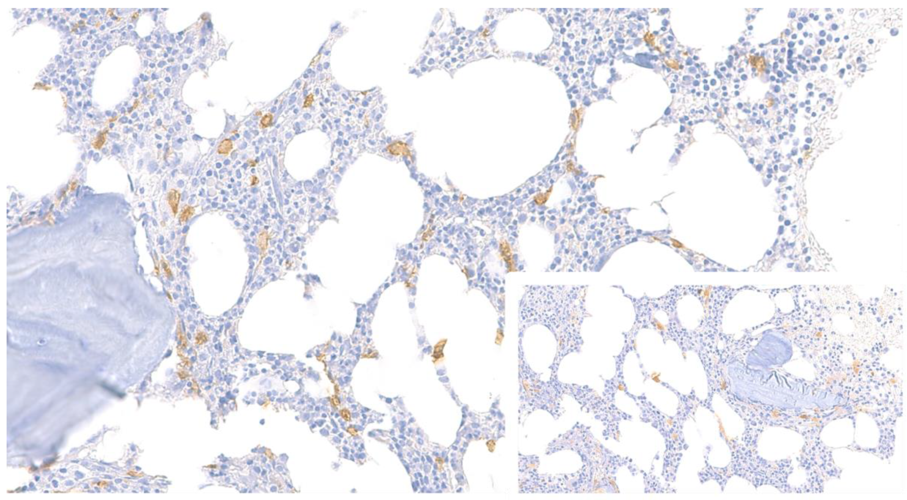 Ijms 23 08772 g003 550