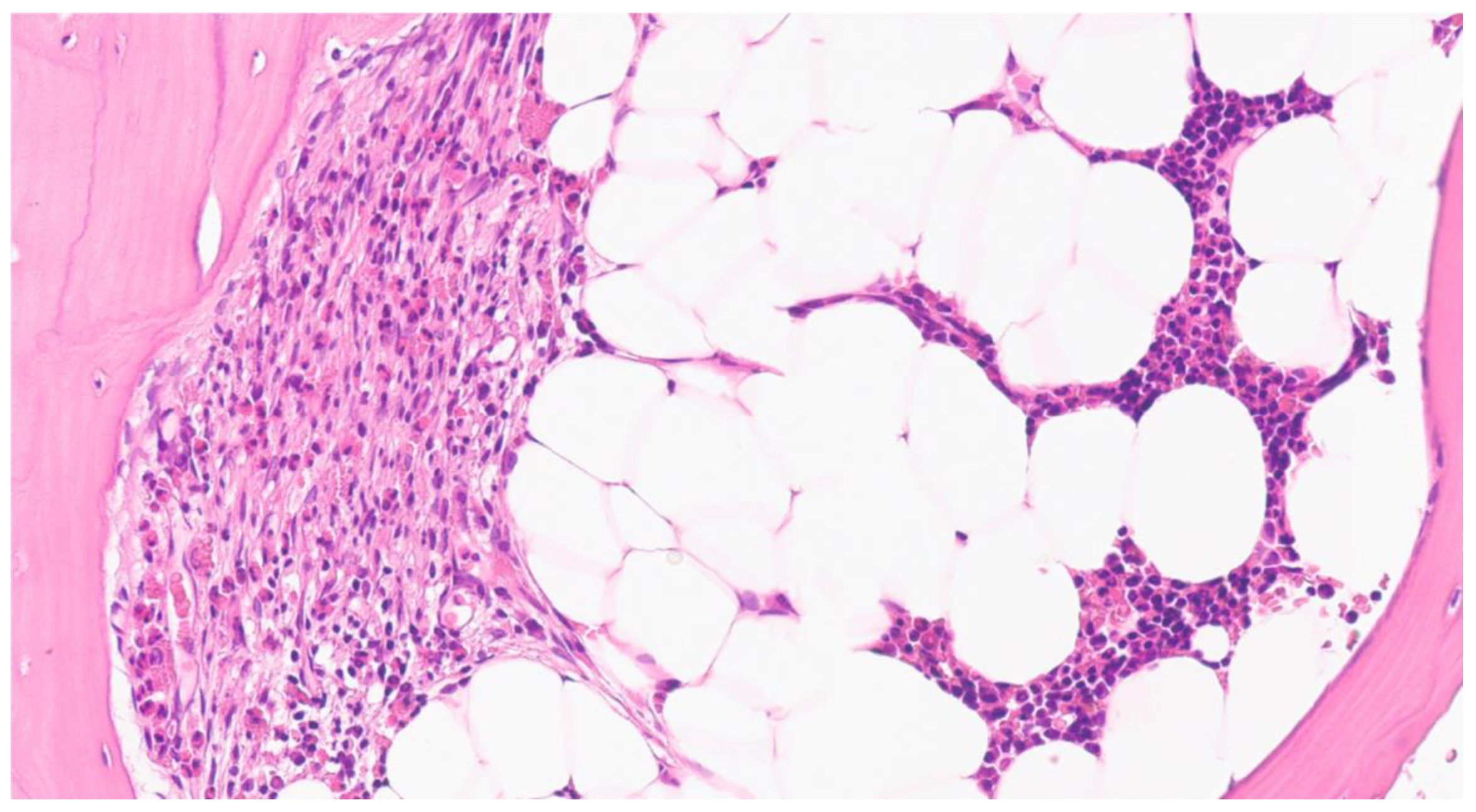 Ijms 23 08772 g004 550