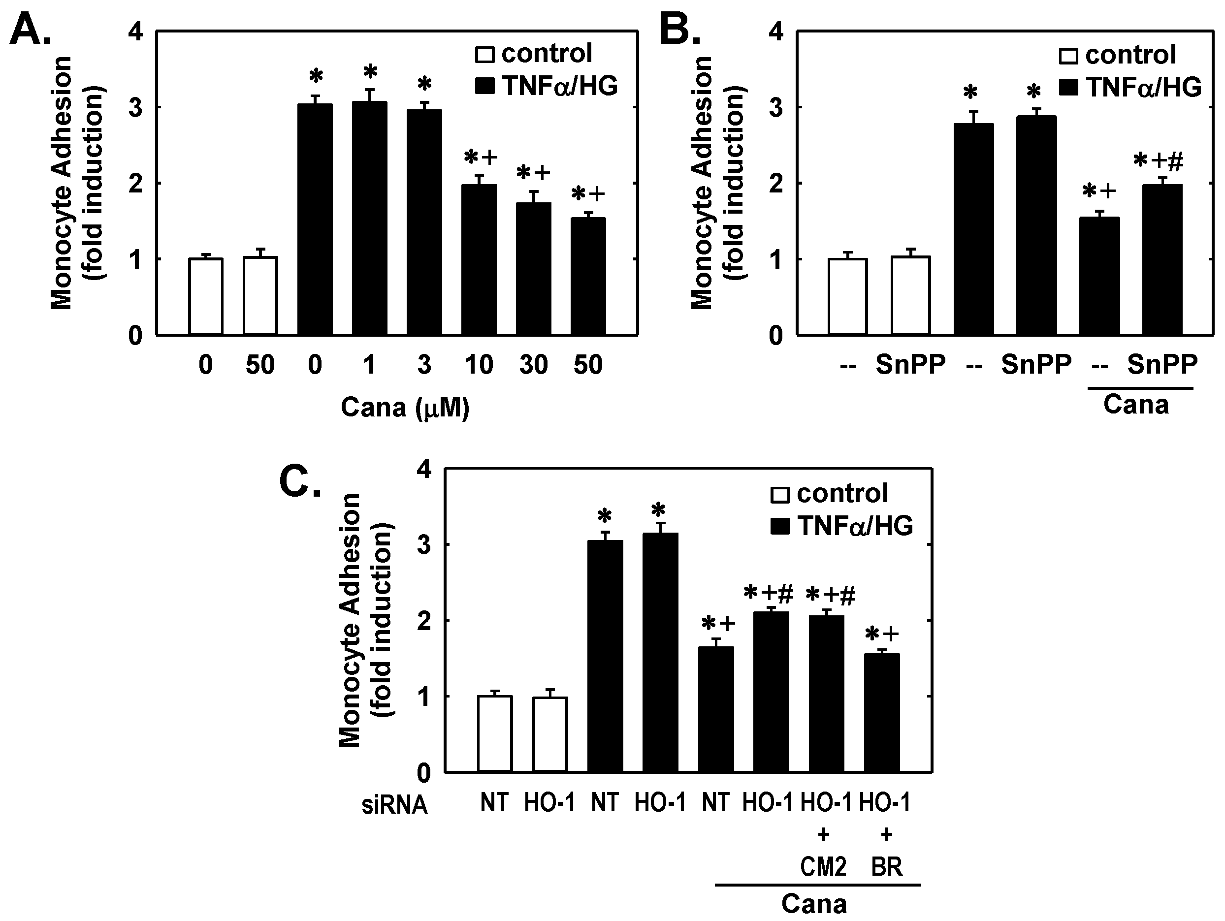 Ijms 23 08777 g003 550