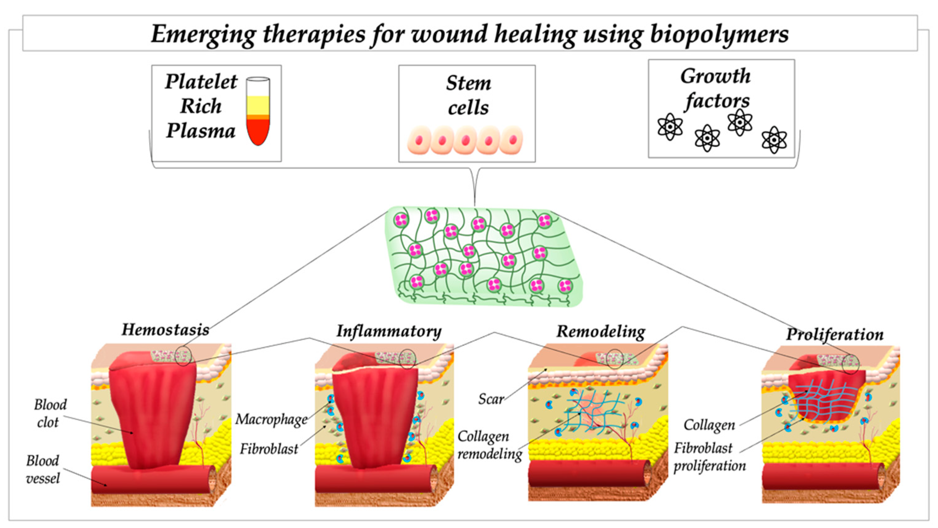 Ijms 23 08778 g002 550
