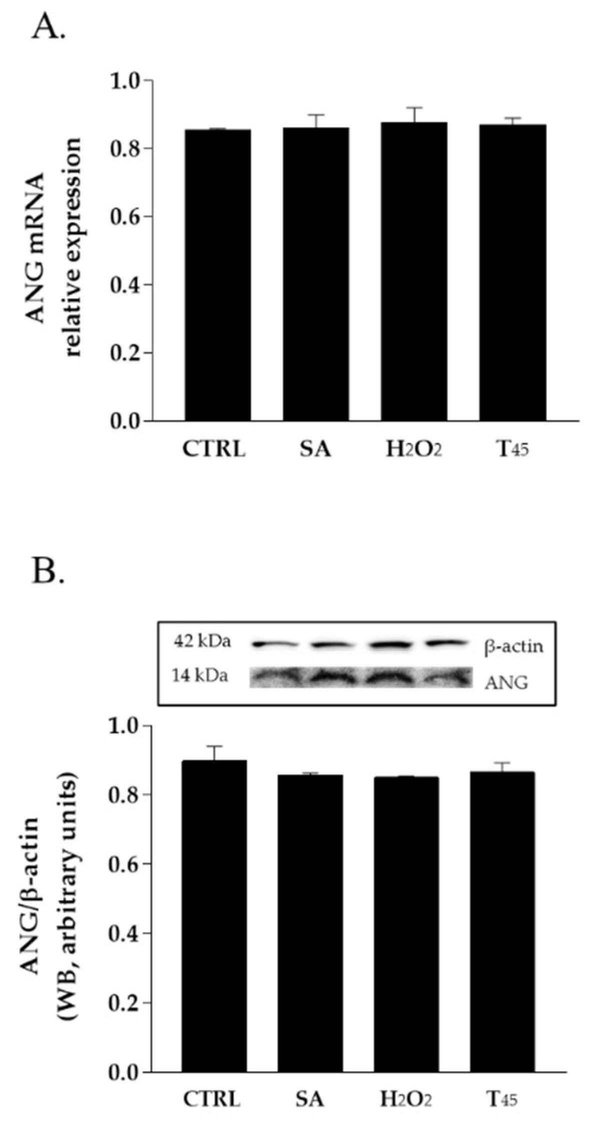 Ijms 23 08781 g001 550