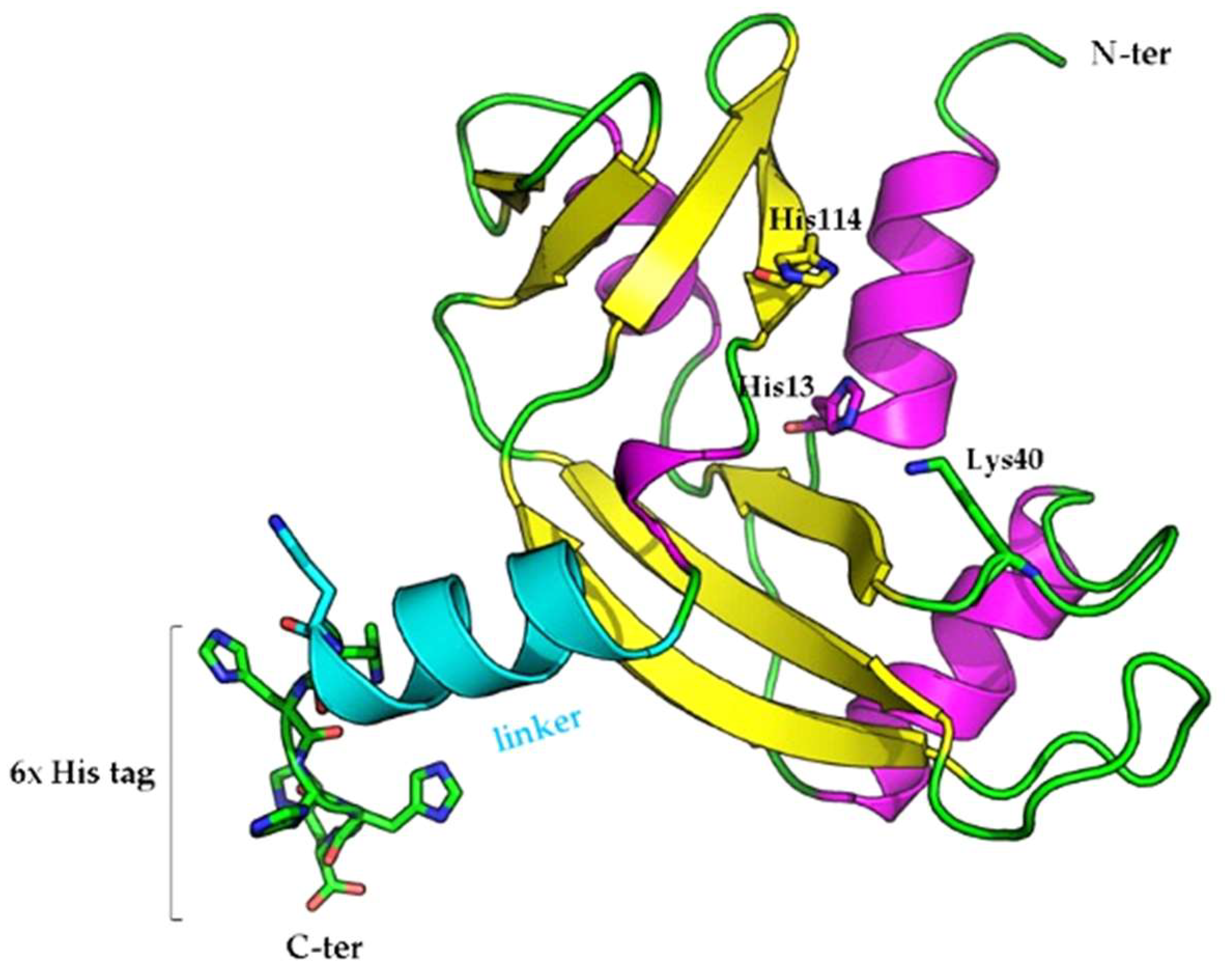 Ijms 23 08781 g008 550