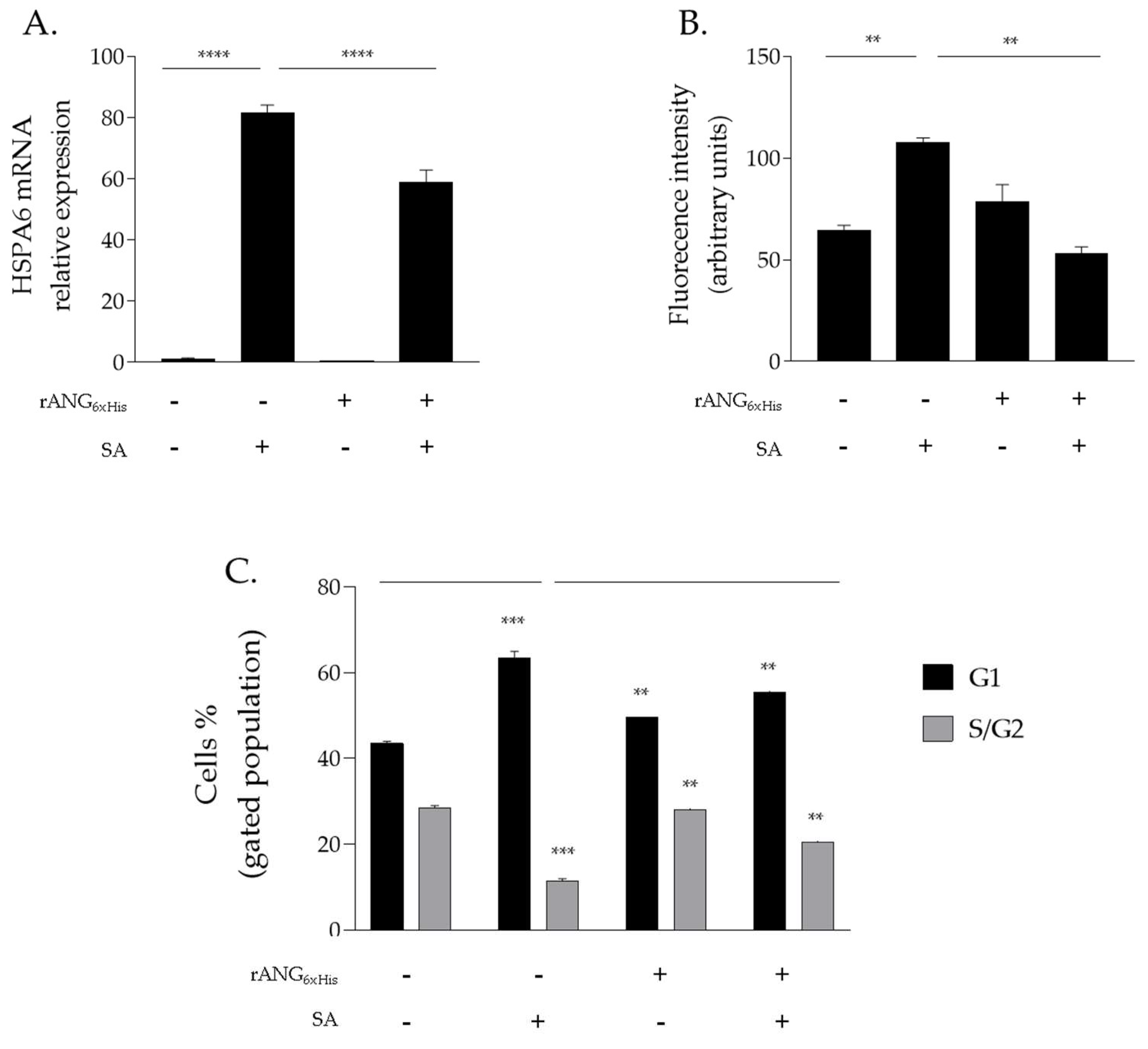 Ijms 23 08781 g011 550