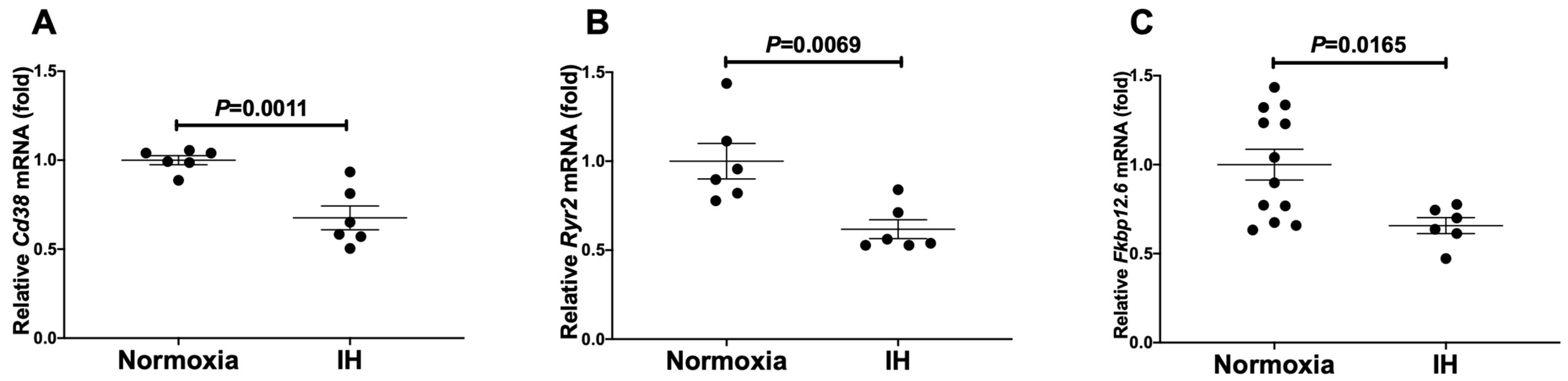 Ijms 23 08782 g002 Ijms 23 08782 g002