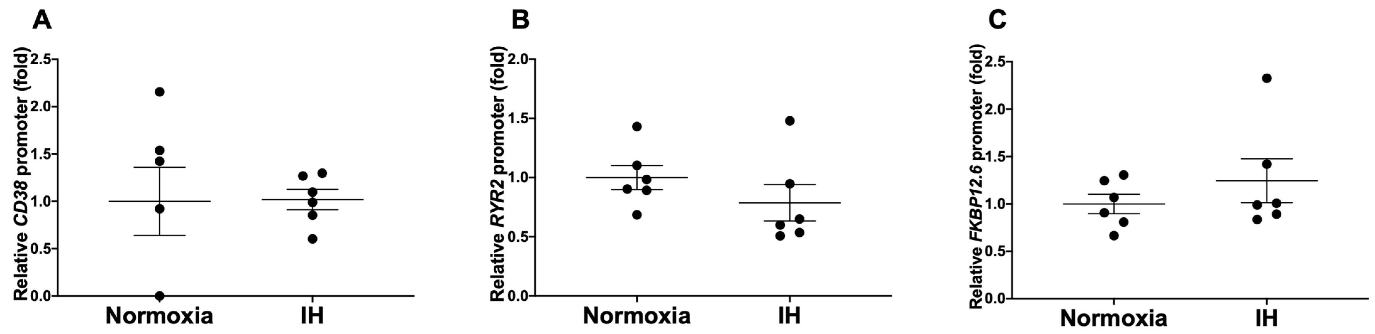 Ijms 23 08782 g004 Ijms 23 08782 g004