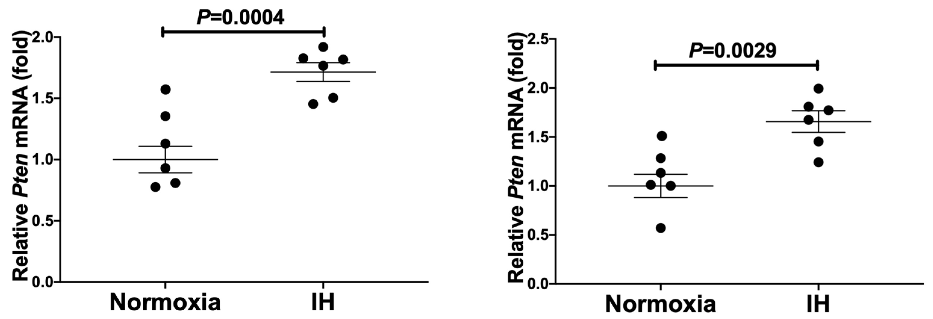 Ijms 23 08782 g005 Ijms 23 08782 g005